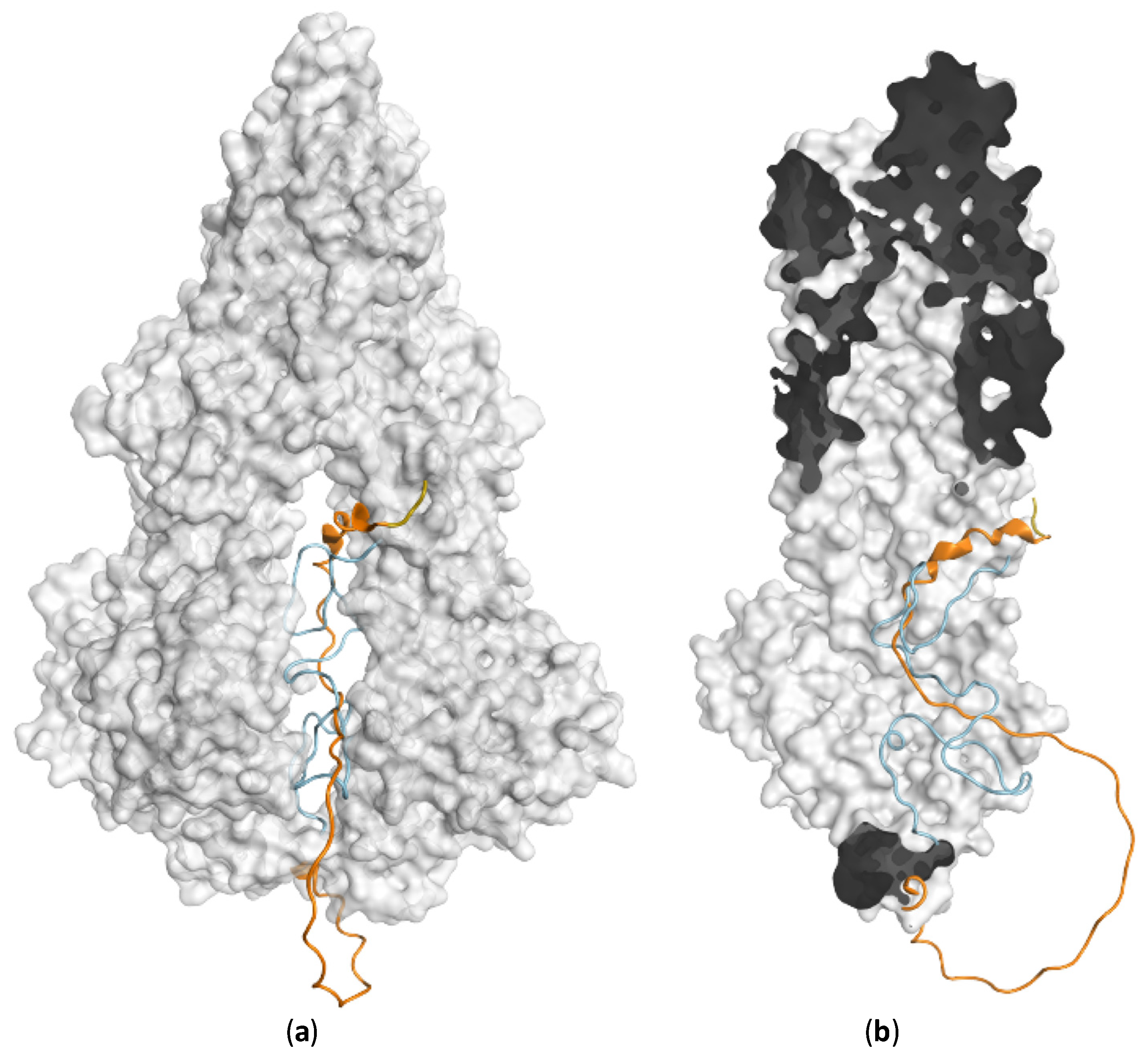 Molecules 28 00495 g007 Molecules 28 00495 g007