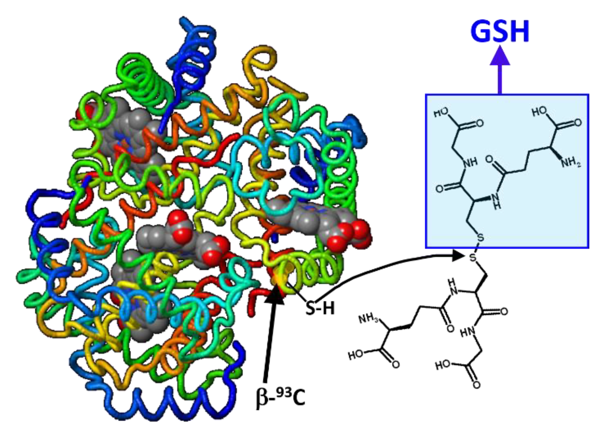 Molecules 28 00497 g001