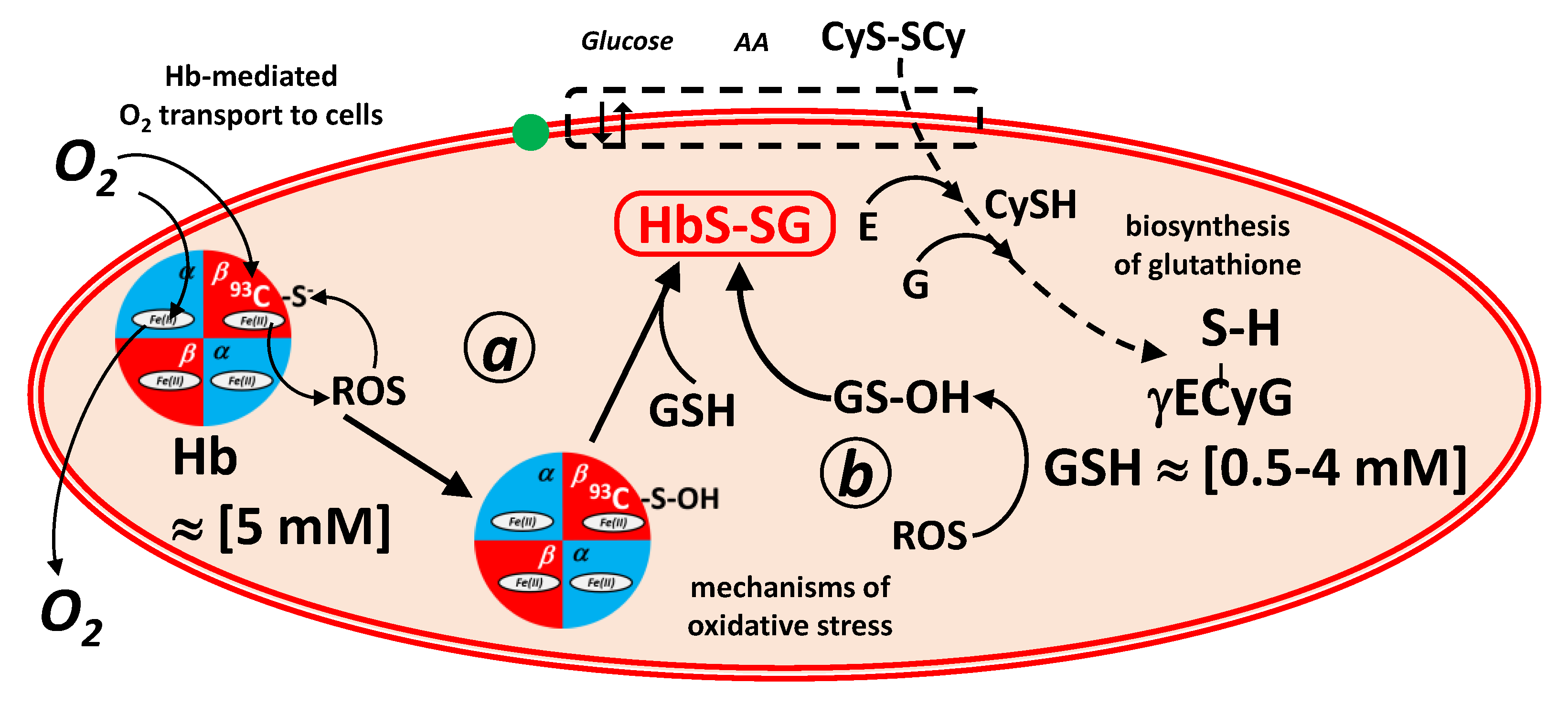 Molecules 28 00497 g002