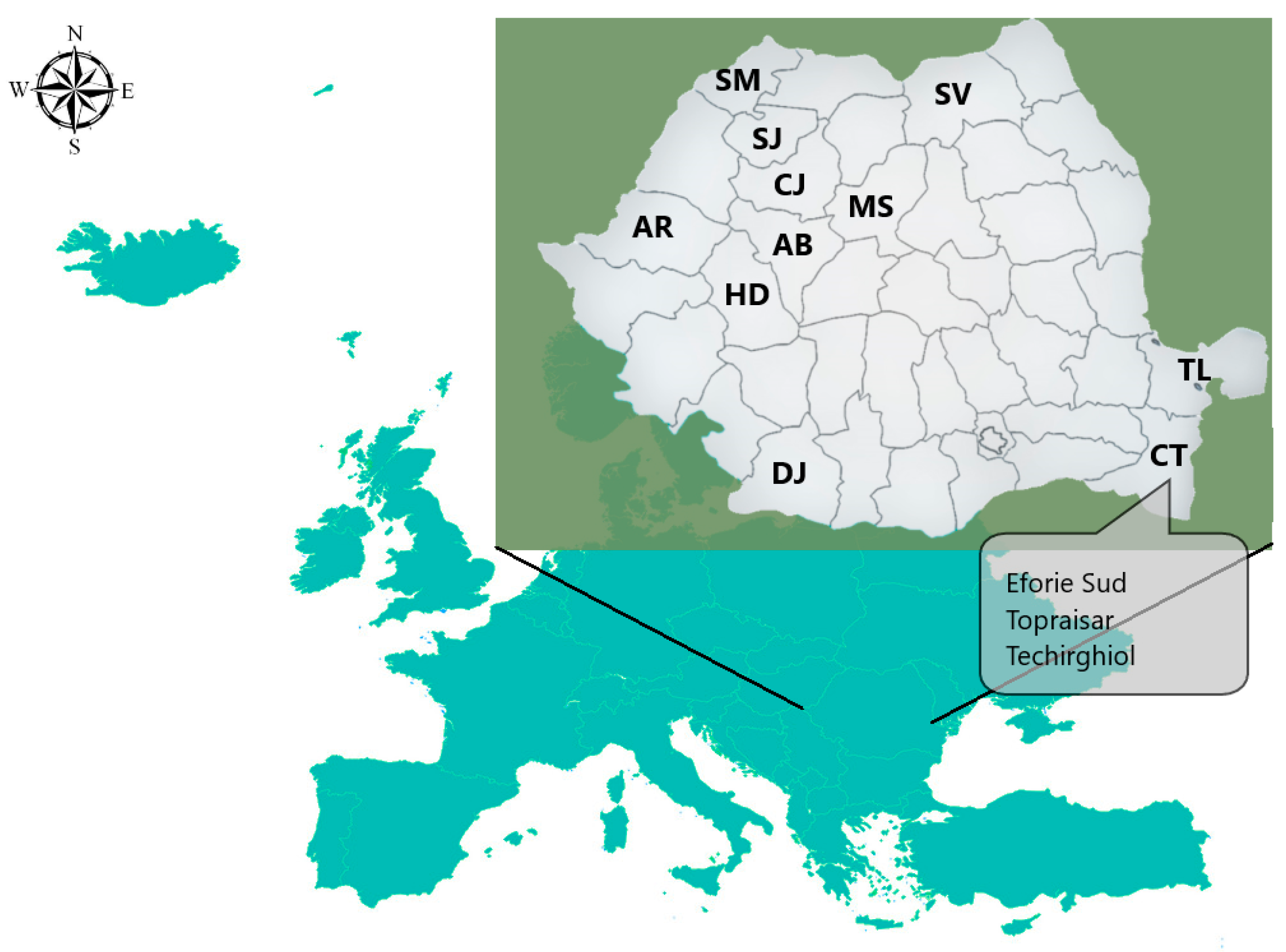 Molecules 28 00503 g004 Molecules 28 00503 g004