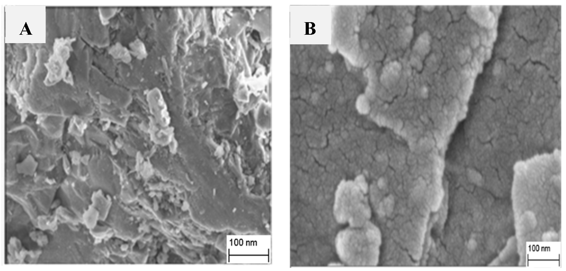 Molecules 28 00504 g002 Molecules 28 00504 g002