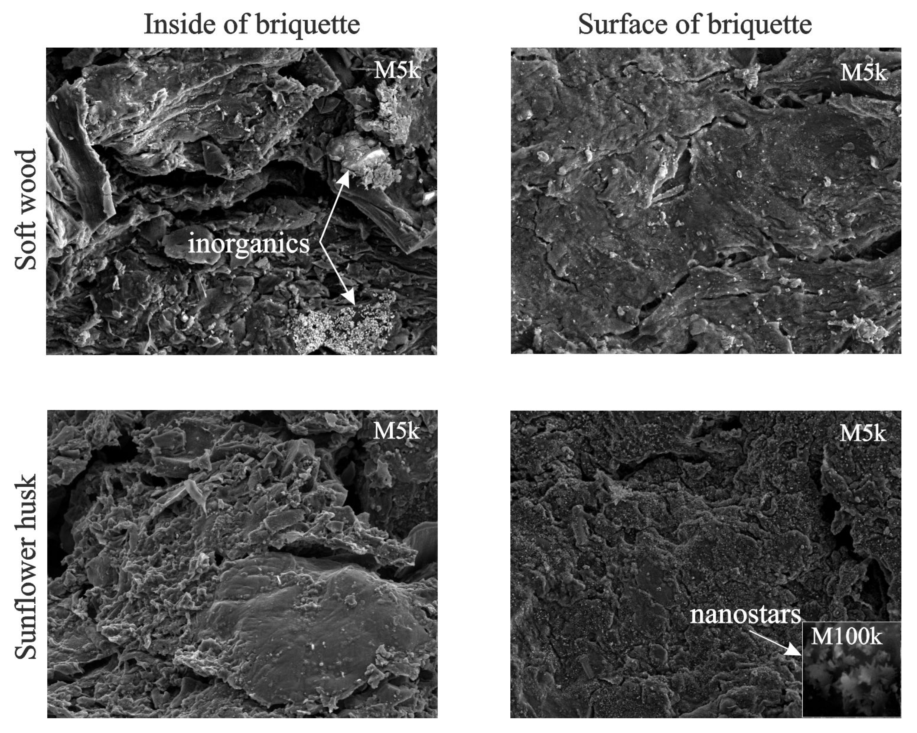 Molecules 28 00506 g009