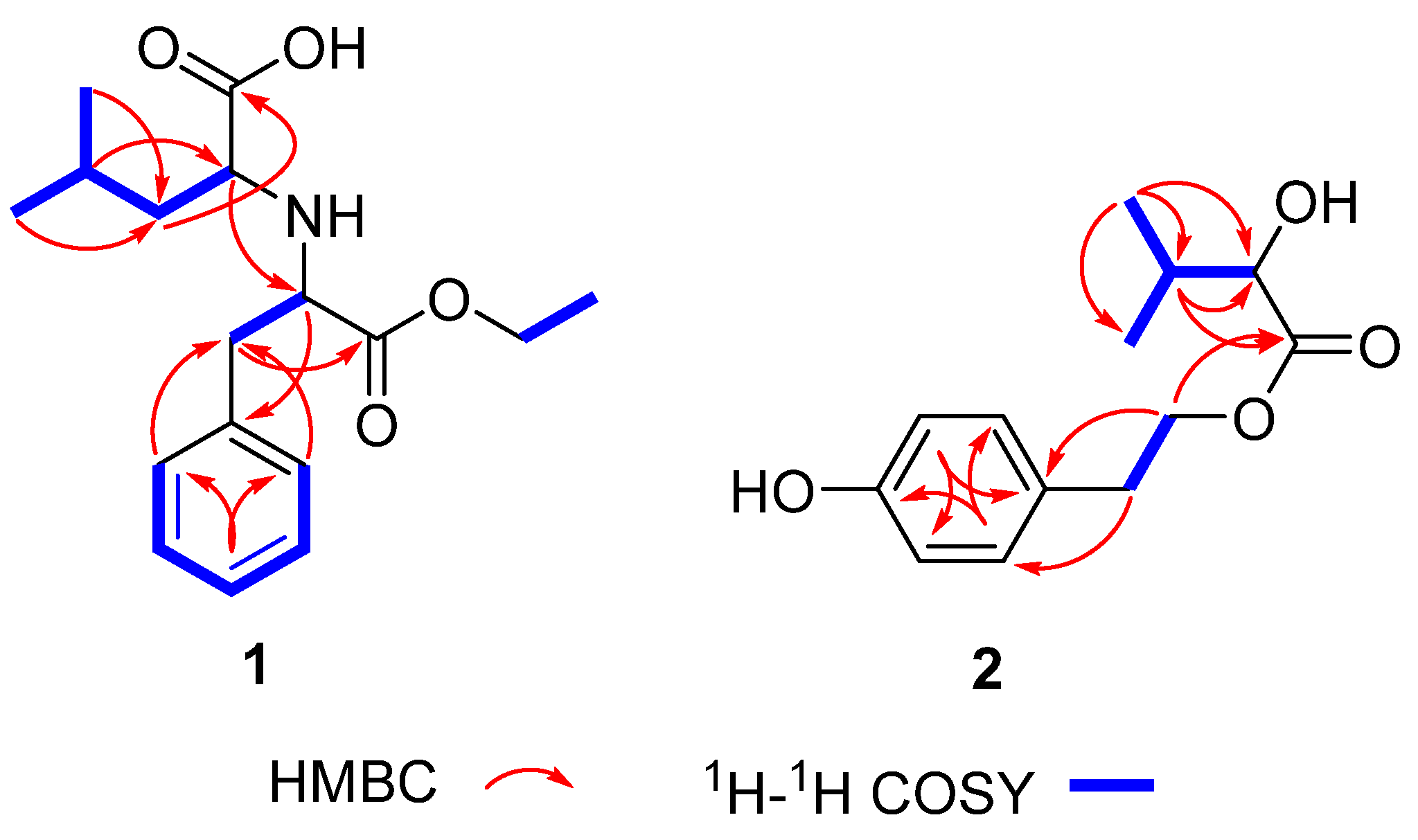Molecules 28 00508 g002