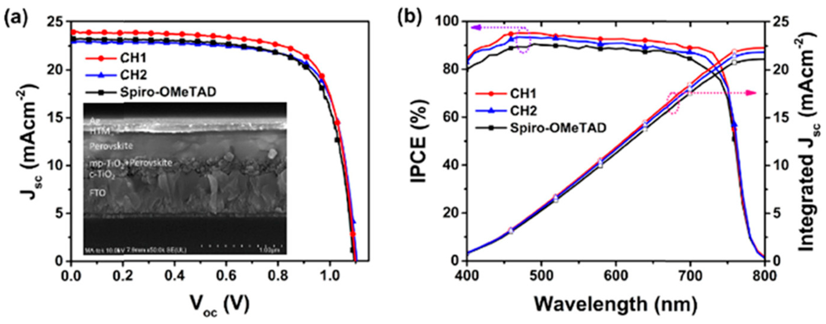 Molecules 28 00510 g018