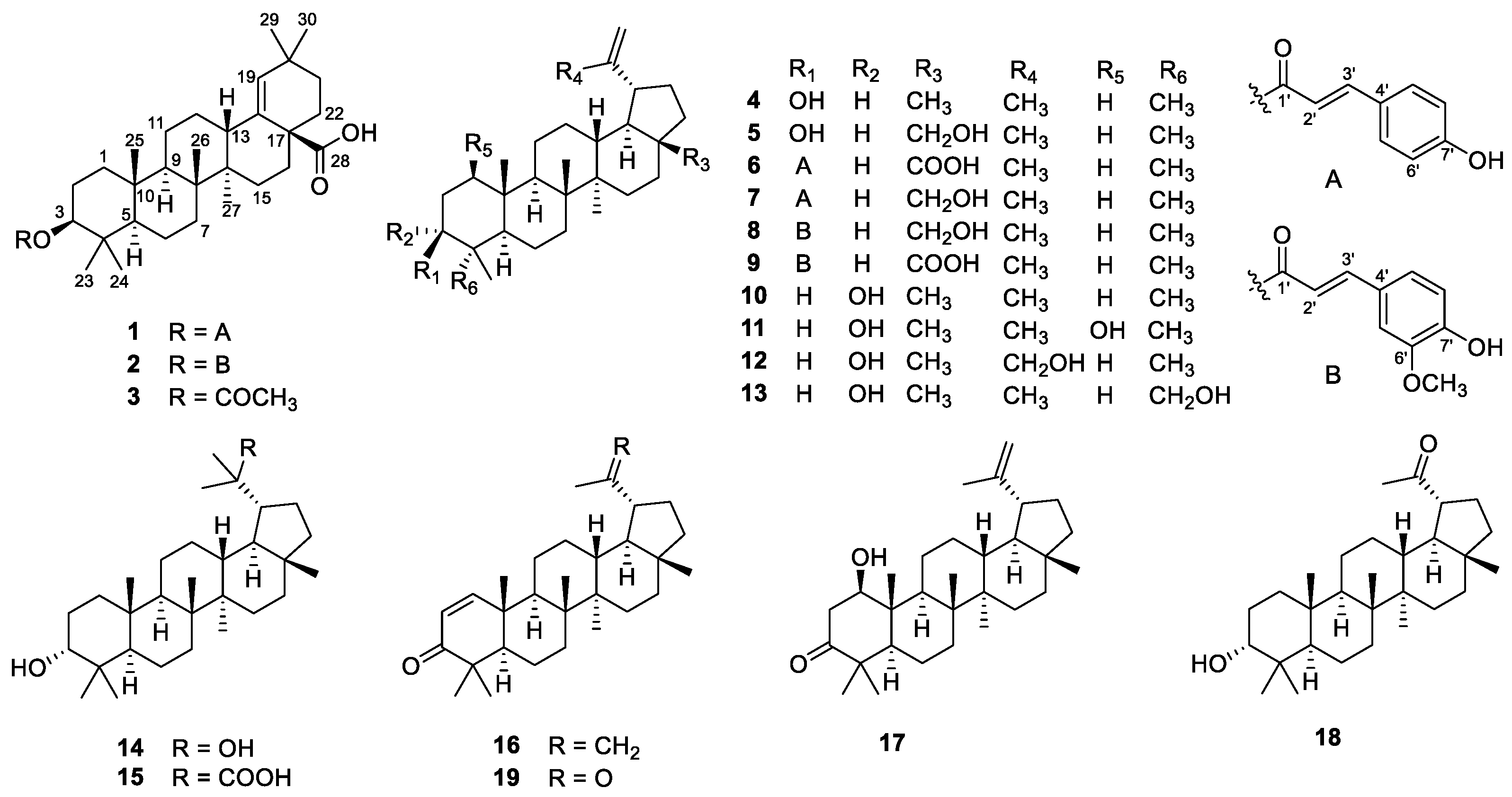 Molecules 28 00511 g001