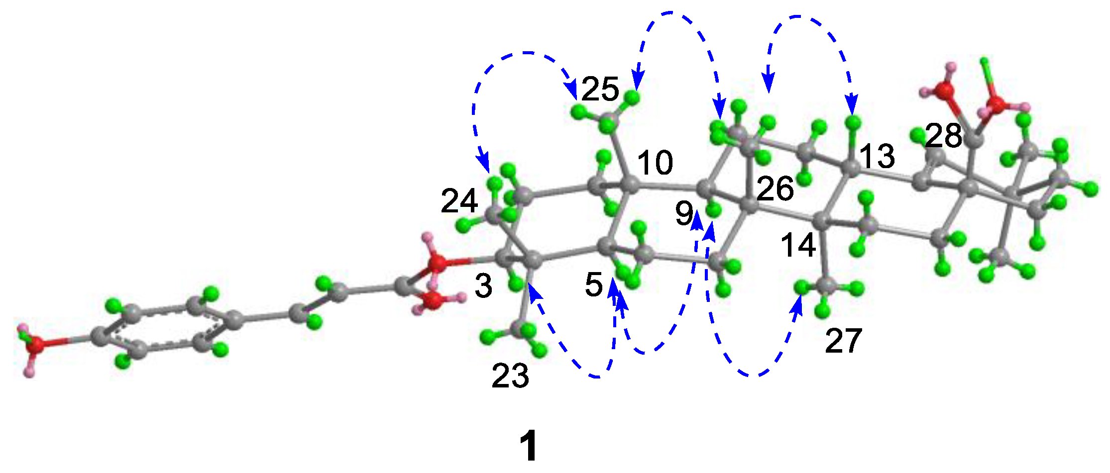 Molecules 28 00511 g003