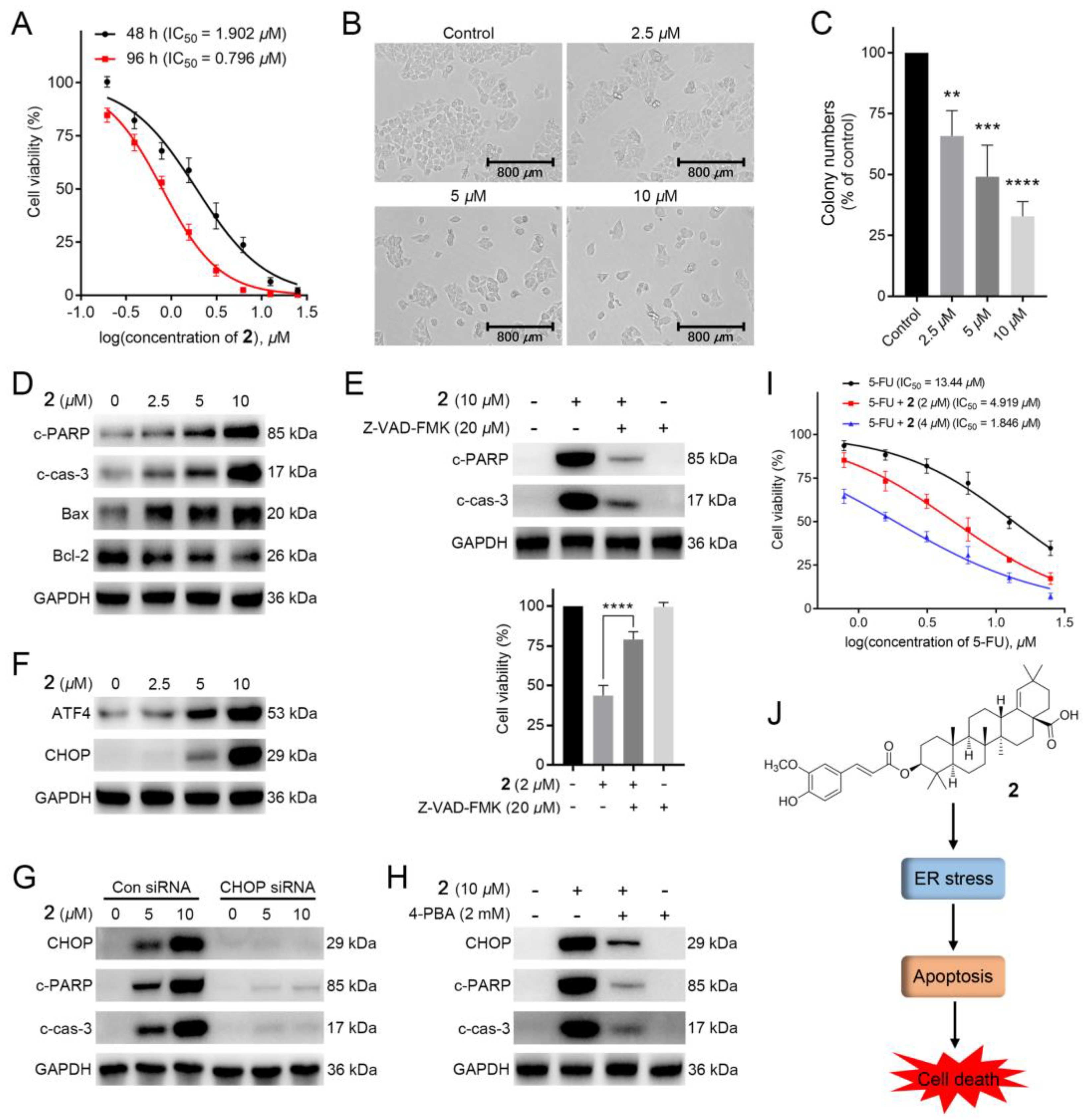 Molecules 28 00511 g005