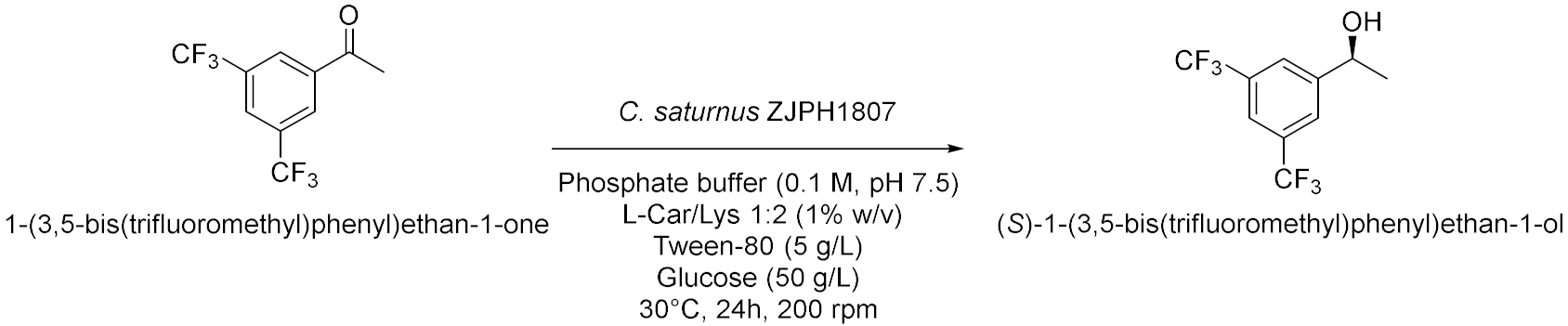 Molecules 28 00516 i013 Molecules 28 00516 i013