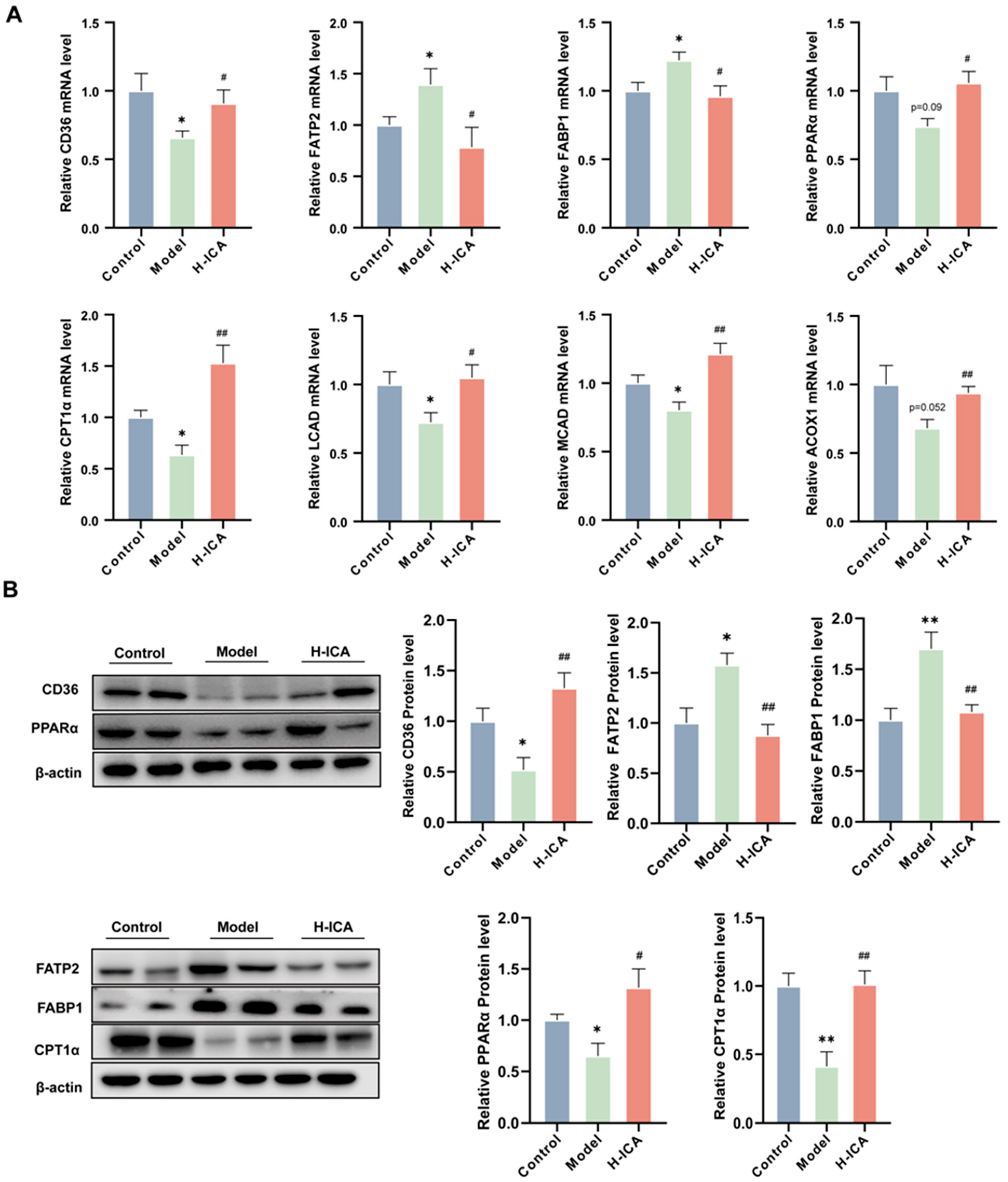 Molecules 28 00517 g004 Molecules 28 00517 g004