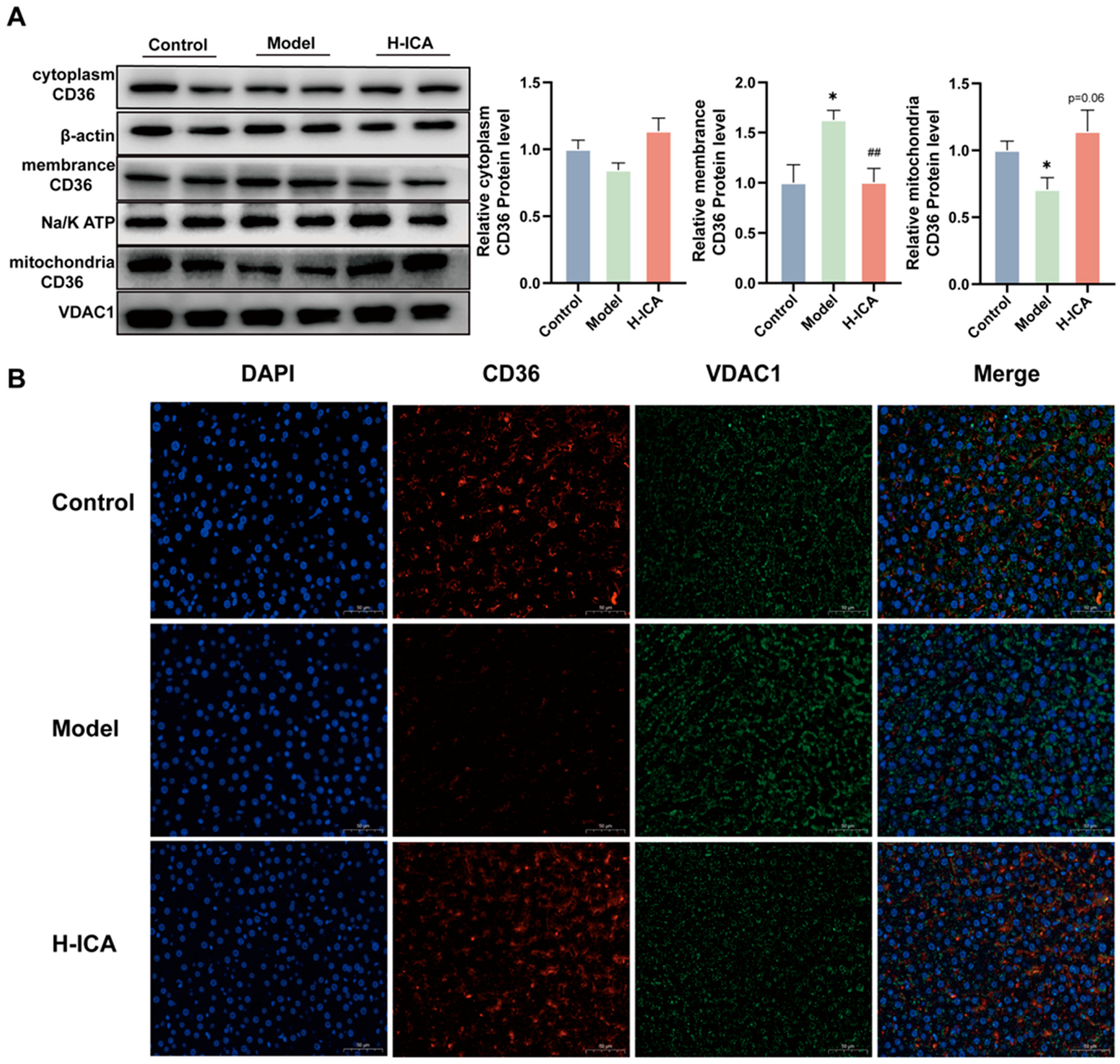 Molecules 28 00517 g005 Molecules 28 00517 g005