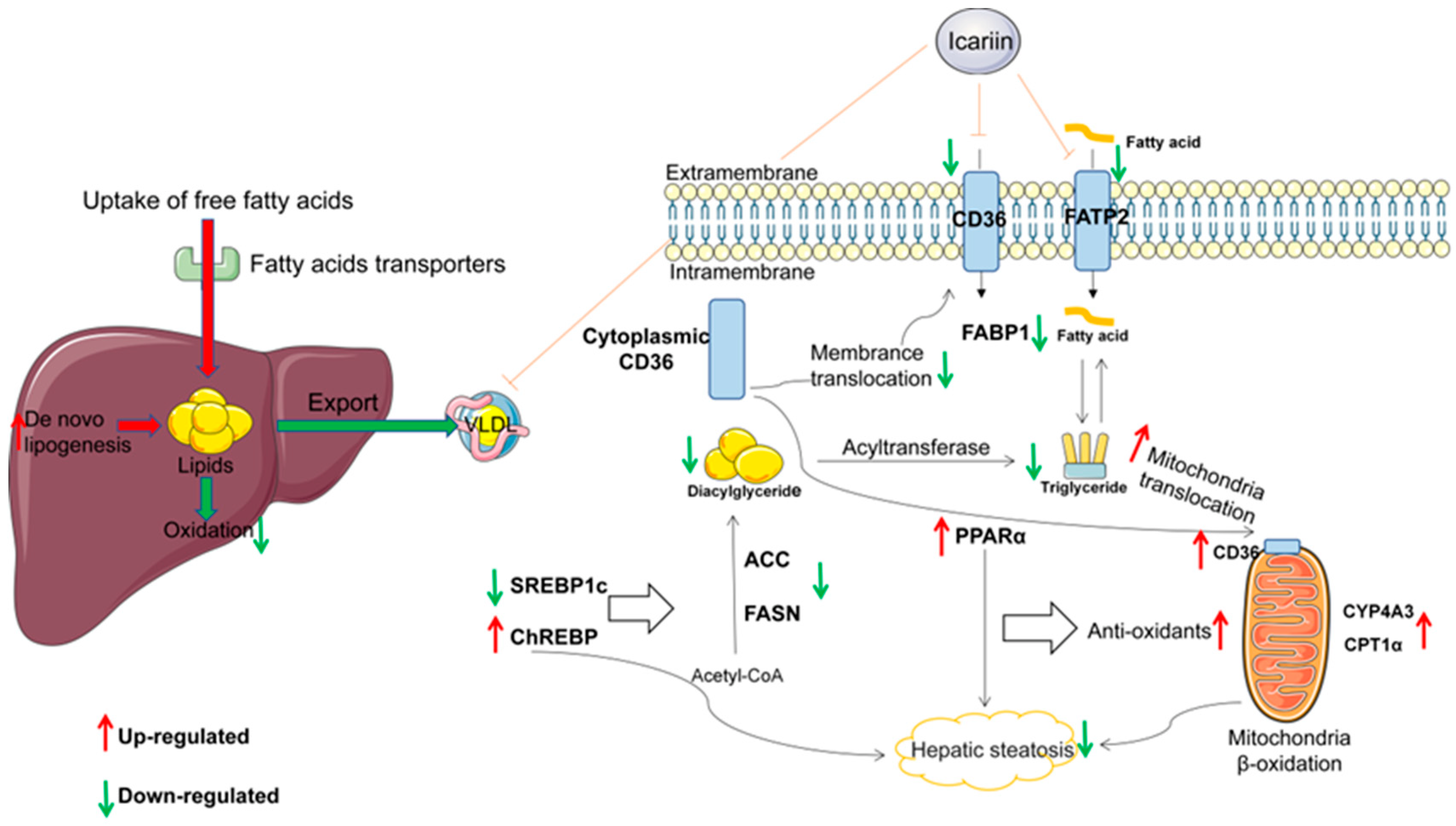 Molecules 28 00517 g007 Molecules 28 00517 g007