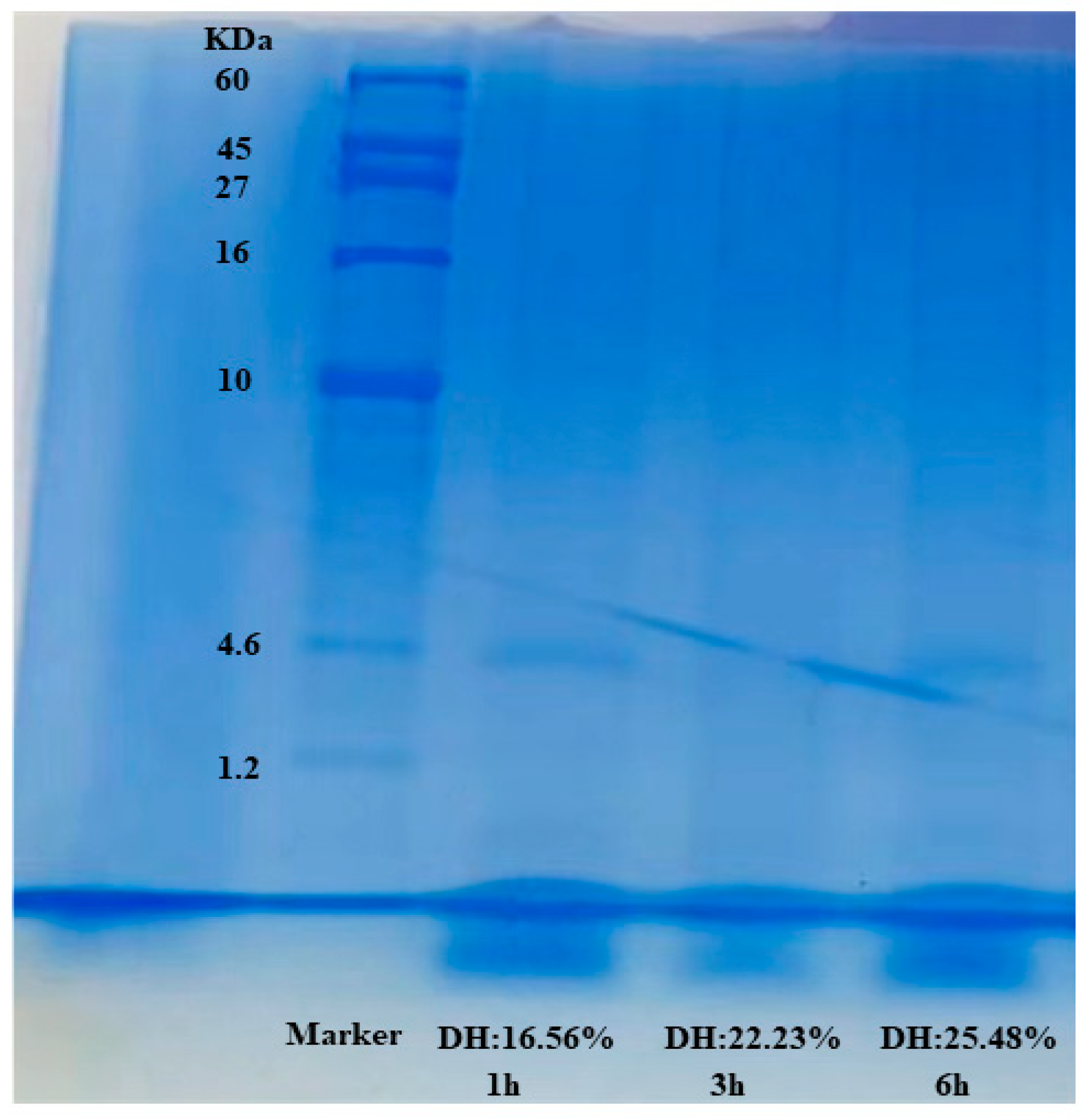 Molecules 28 00519 g004 Molecules 28 00519 g004