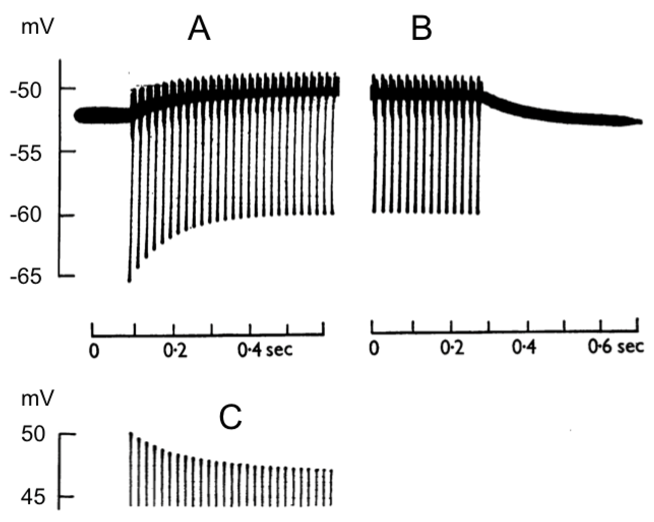 Molecules 28 00523 g001