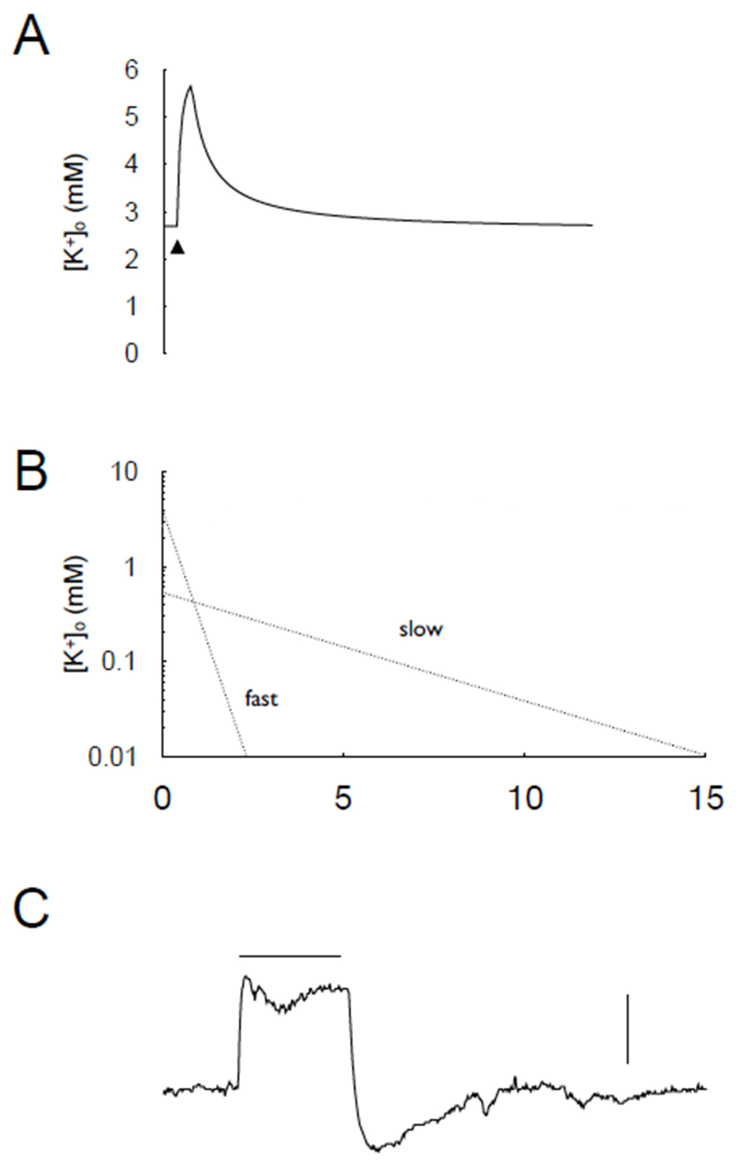 Molecules 28 00523 g007
