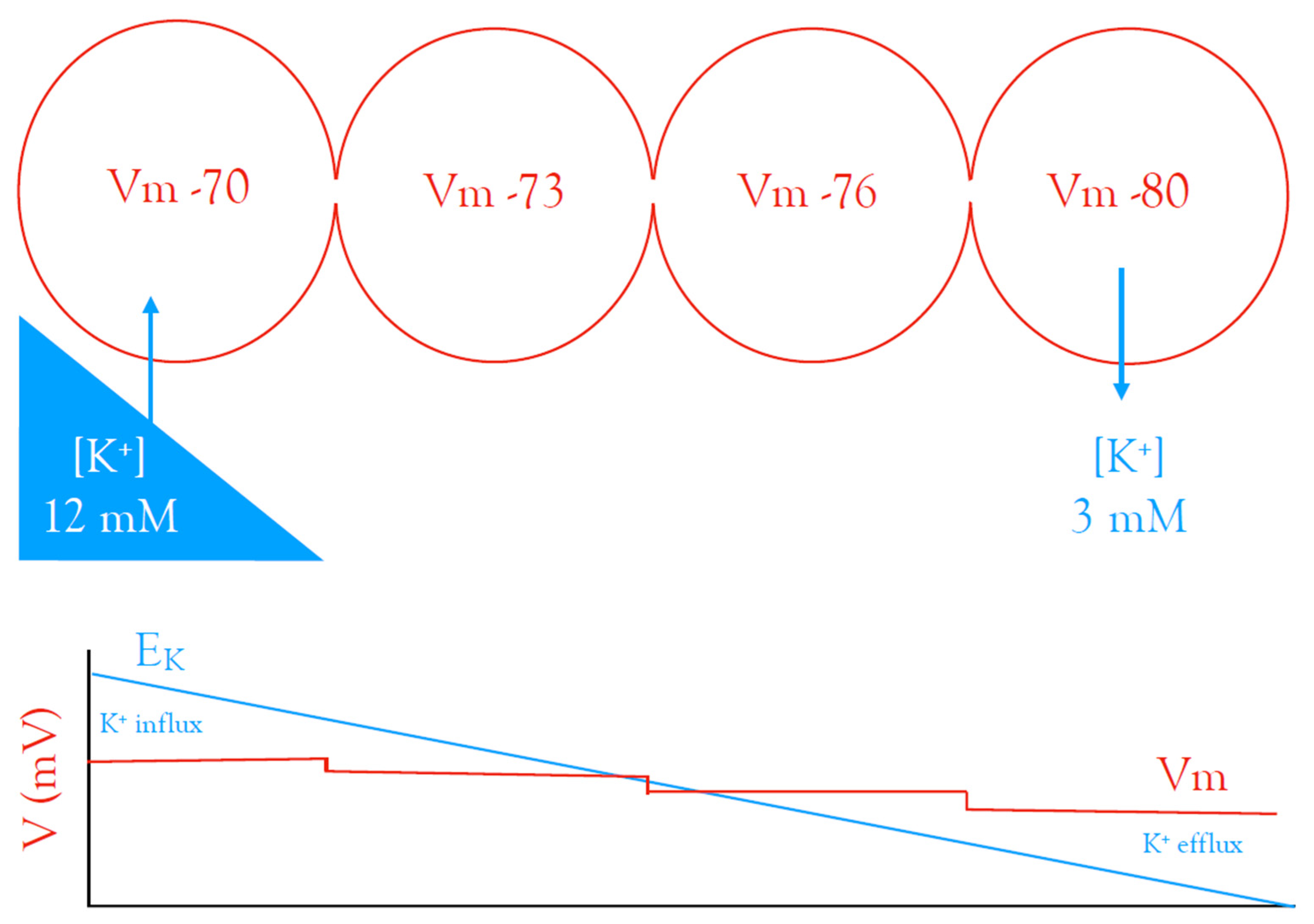 Molecules 28 00523 g008