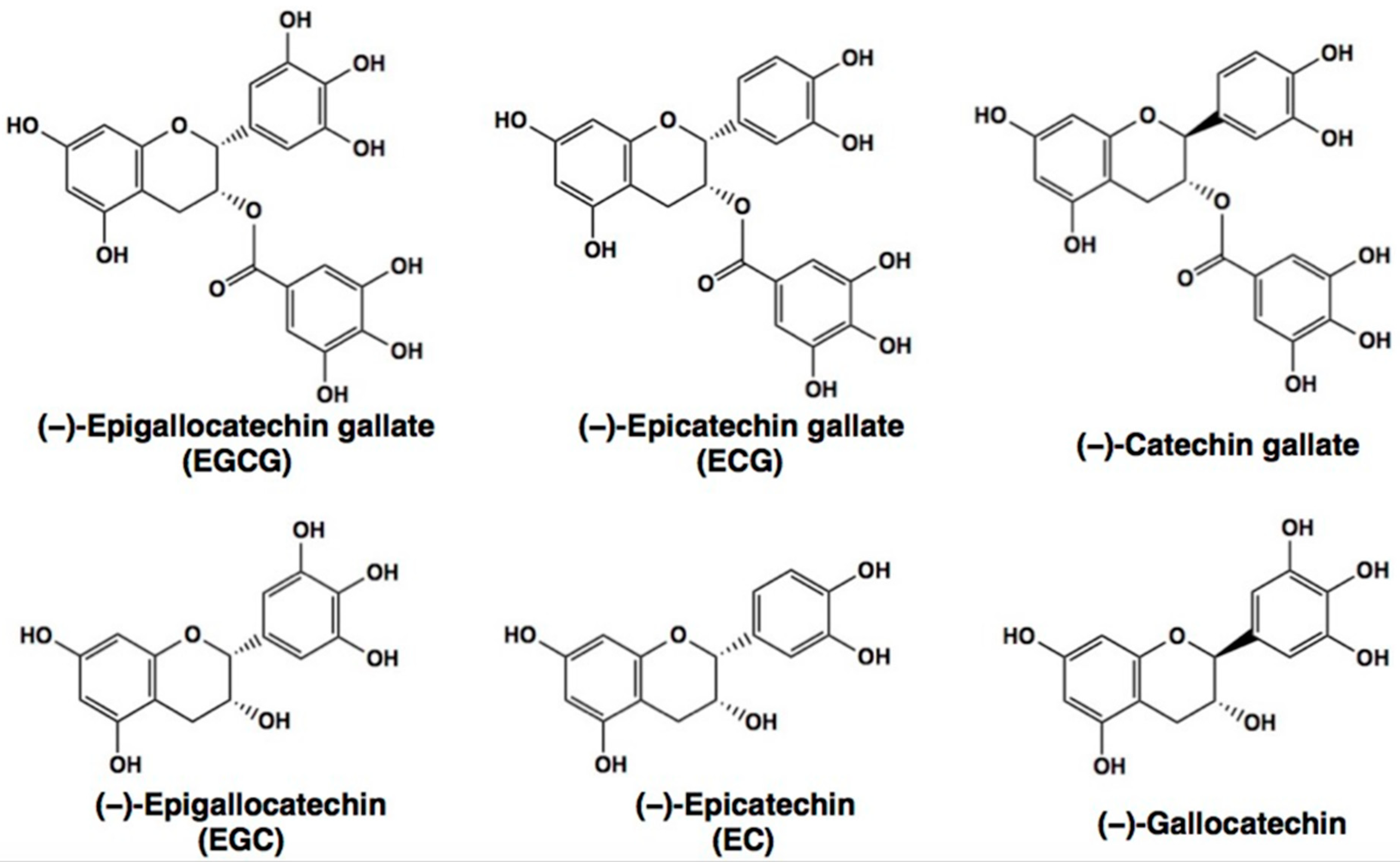 Molecules 28 00525 g001