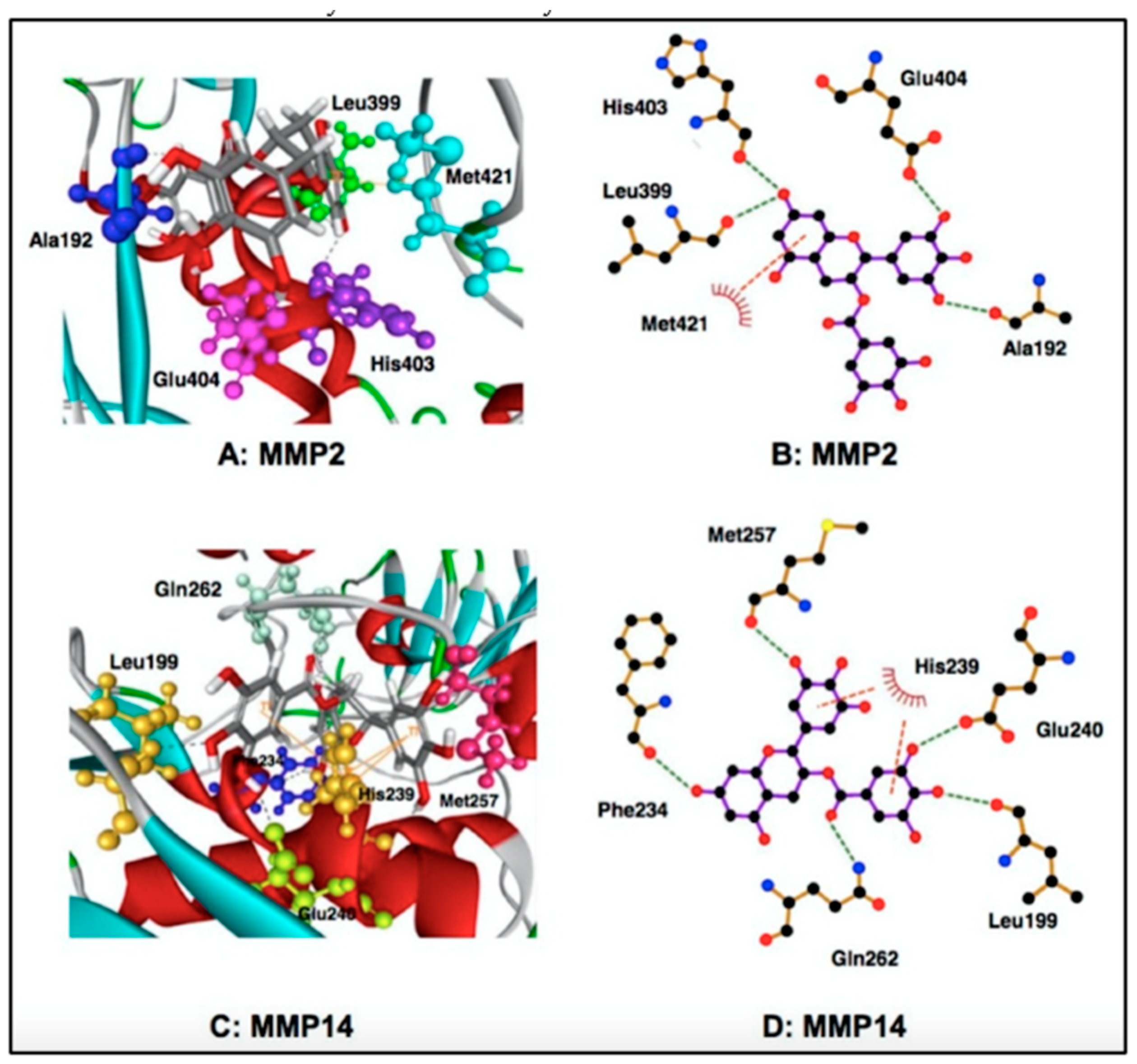 Molecules 28 00525 g006