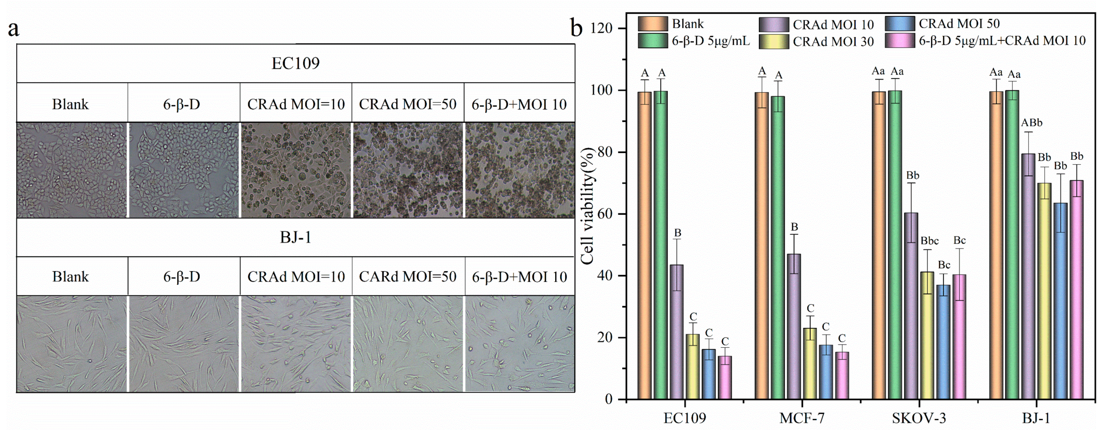Molecules 28 00528 g003 Molecules 28 00528 g003
