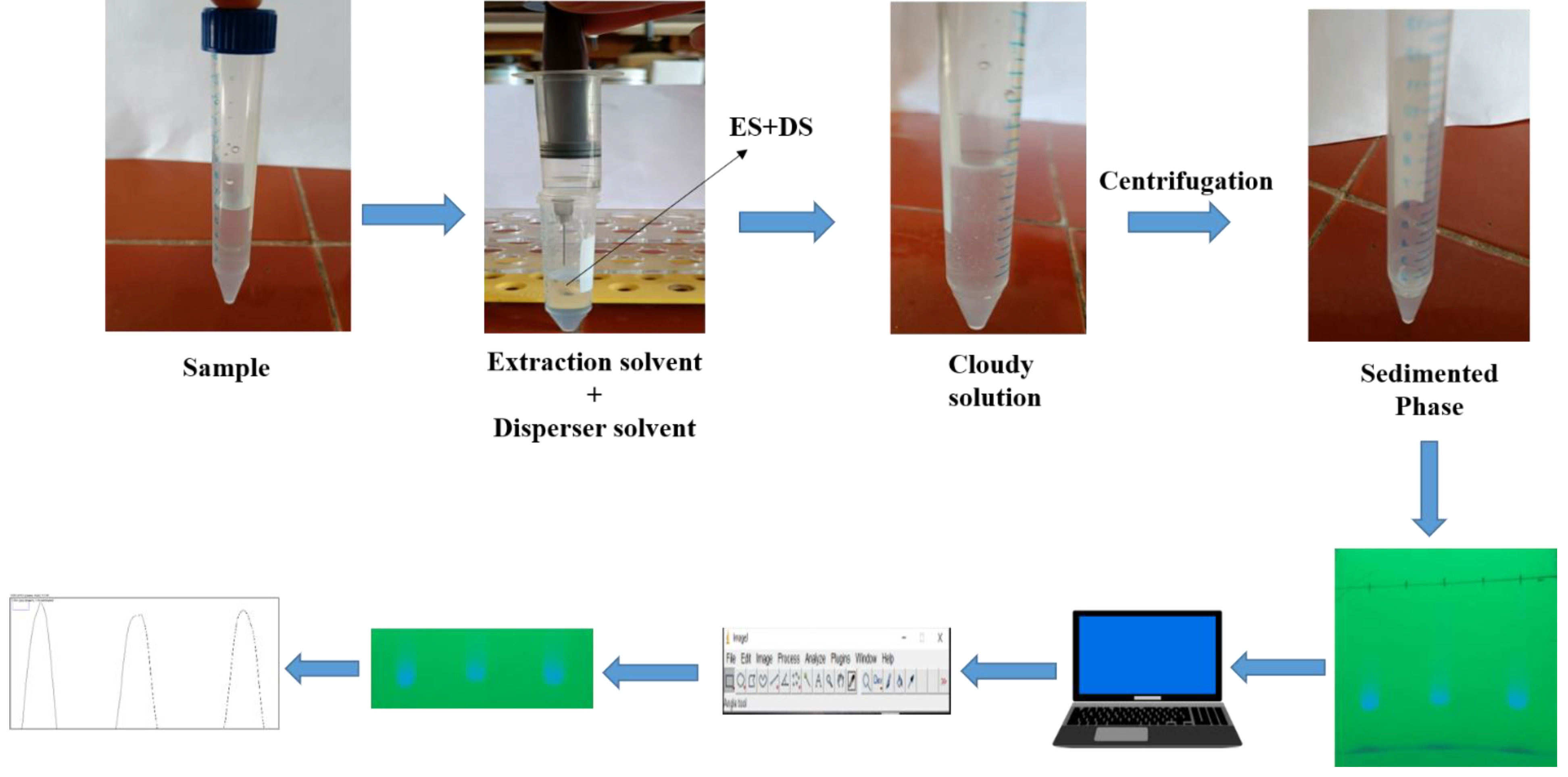 Molecules 28 00529 g007