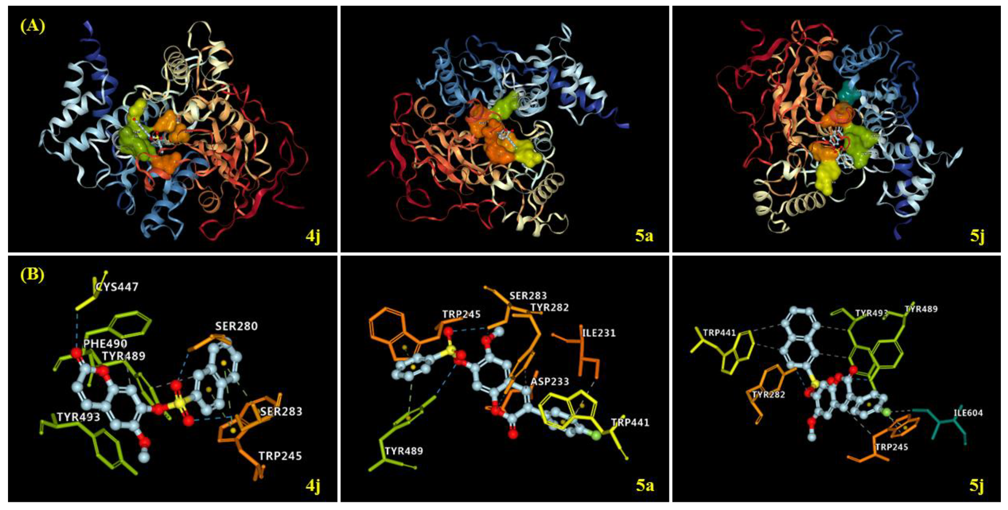 Molecules 28 00530 g003 Molecules 28 00530 g003