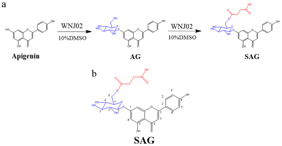 efficient-synthesis-and-in-vitro-hypoglycemic-activity-of-rare-apigenin