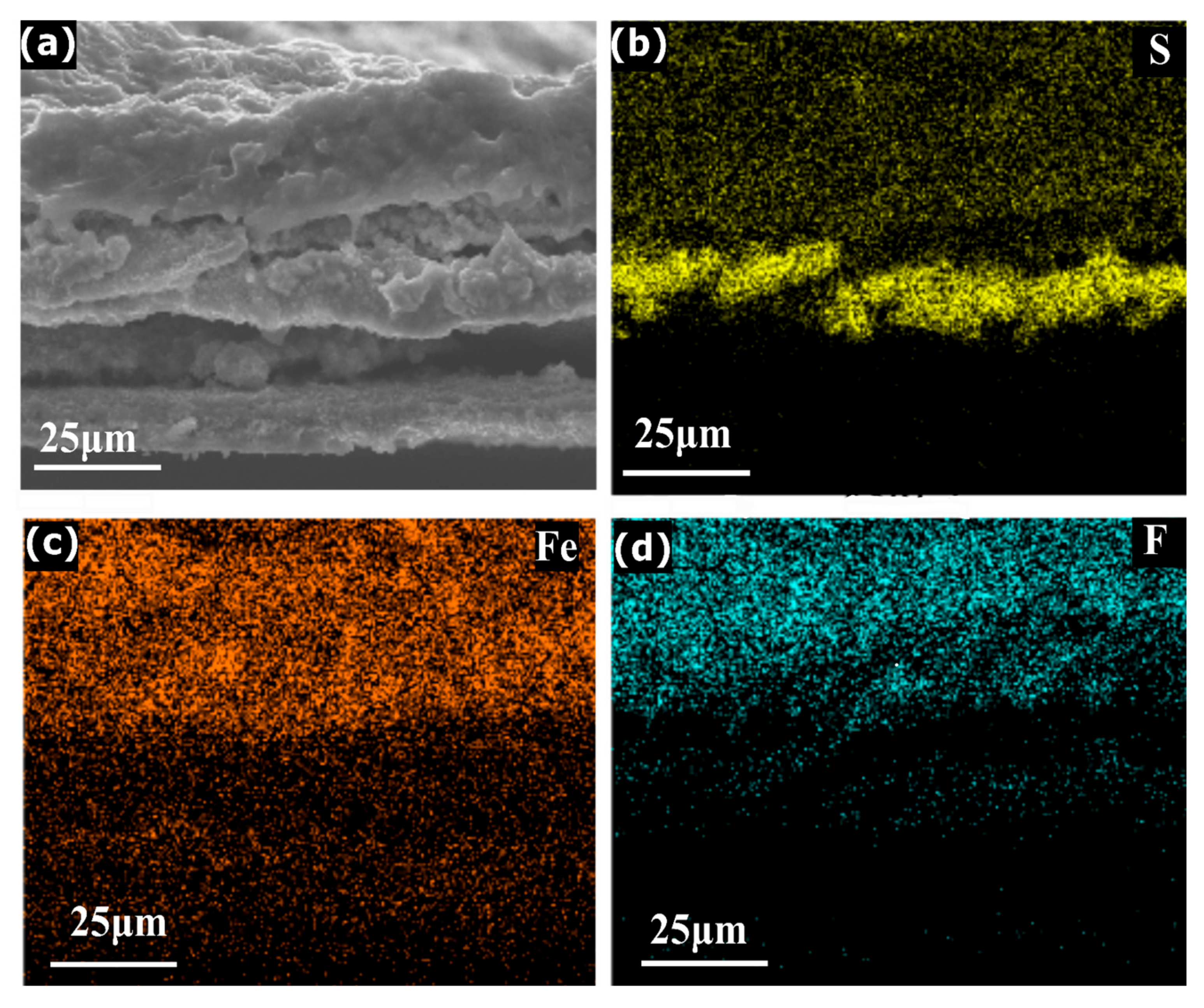 Molecules 28 00537 g004 Molecules 28 00537 g004