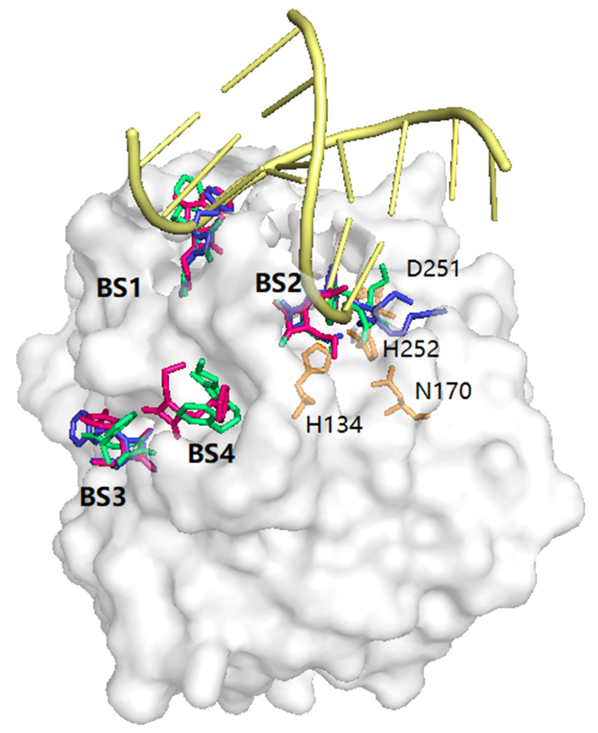 Molecules 28 00538 g005