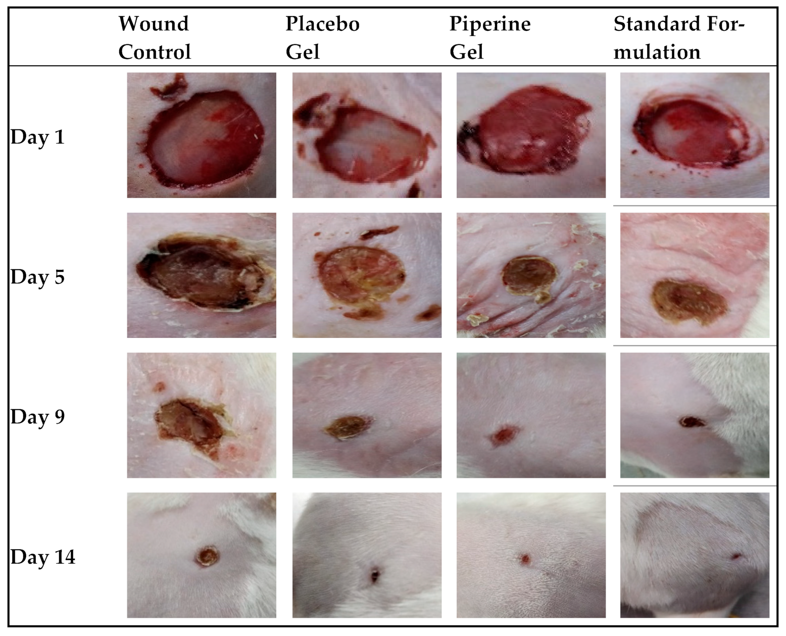 Molecules 28 00545 g003