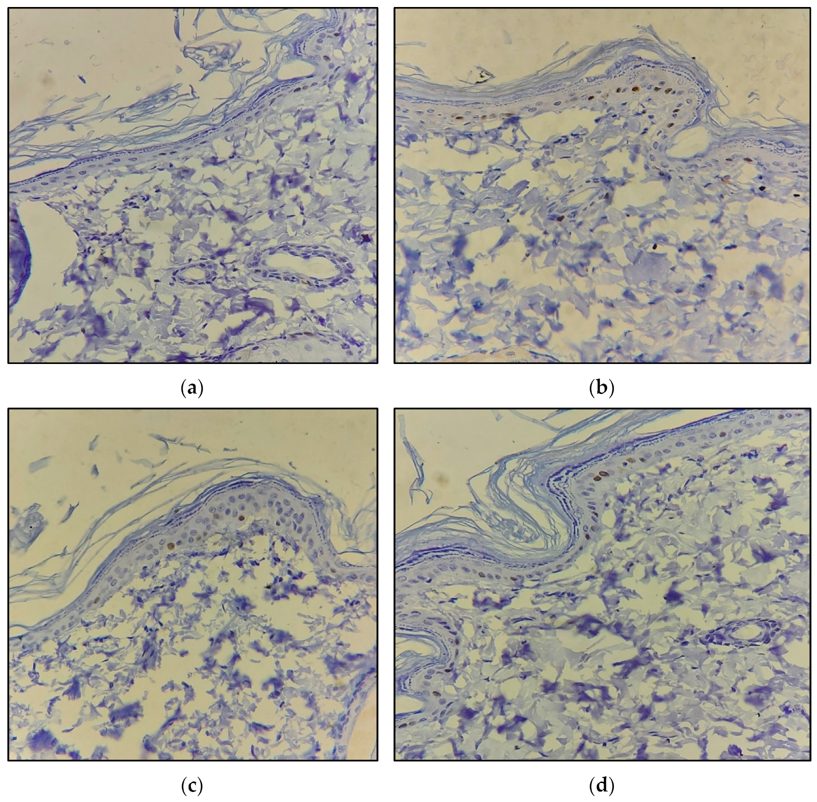 Molecules 28 00545 g006