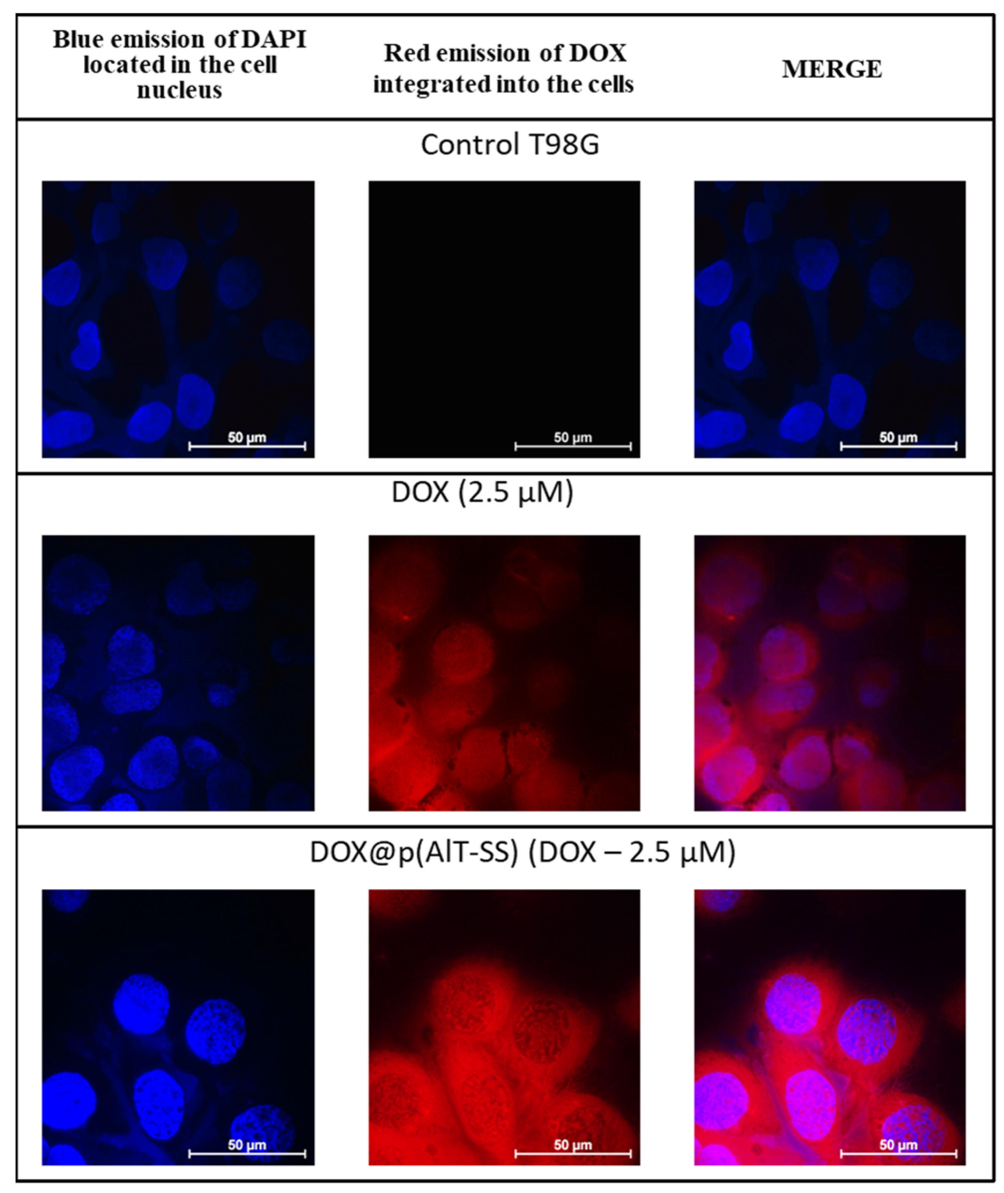 Molecules 28 00551 g005 Molecules 28 00551 g005