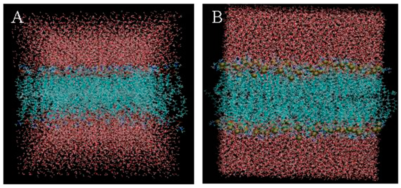 Molecules 28 00553 g003