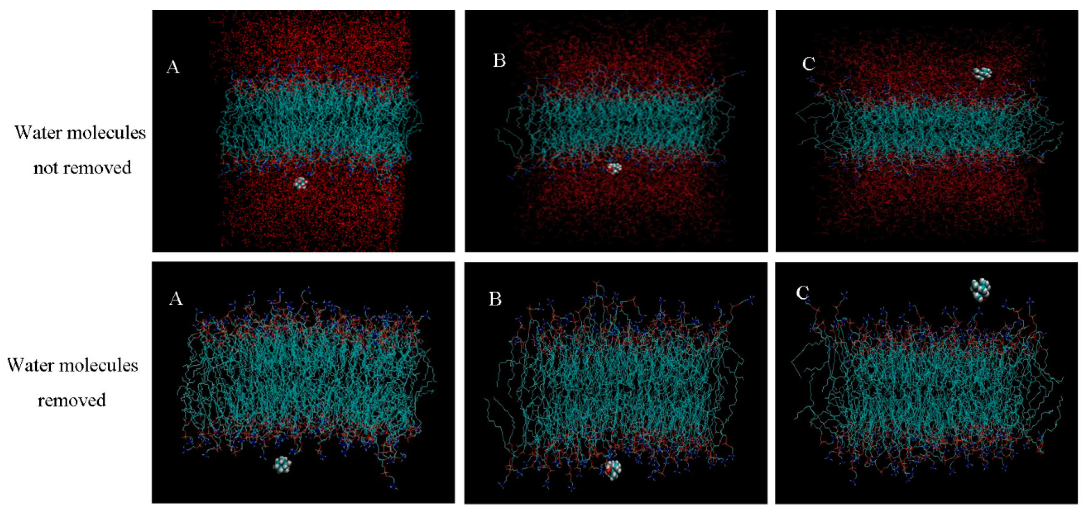 Molecules 28 00553 g006