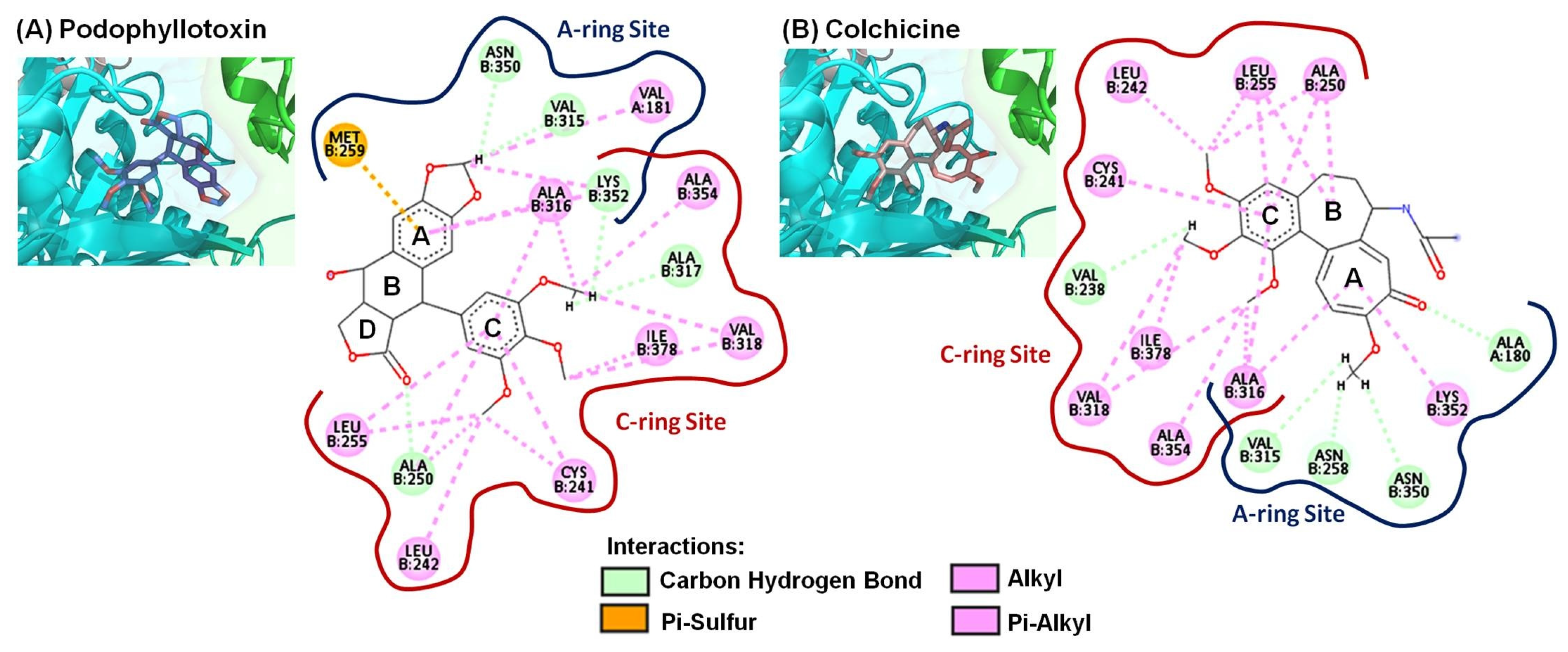 Molecules 28 00555 g004 Molecules 28 00555 g004