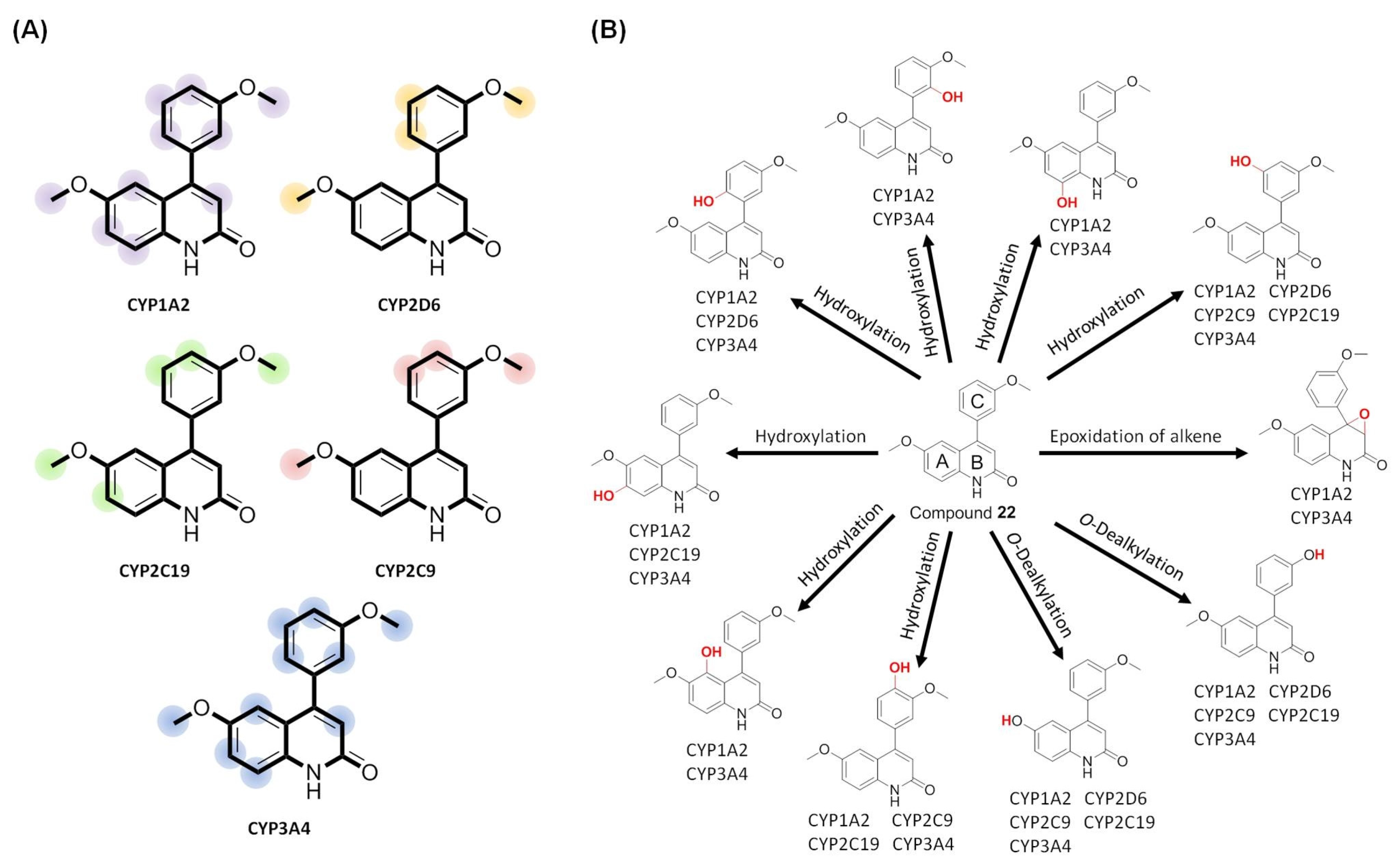 Molecules 28 00555 g008 Molecules 28 00555 g008