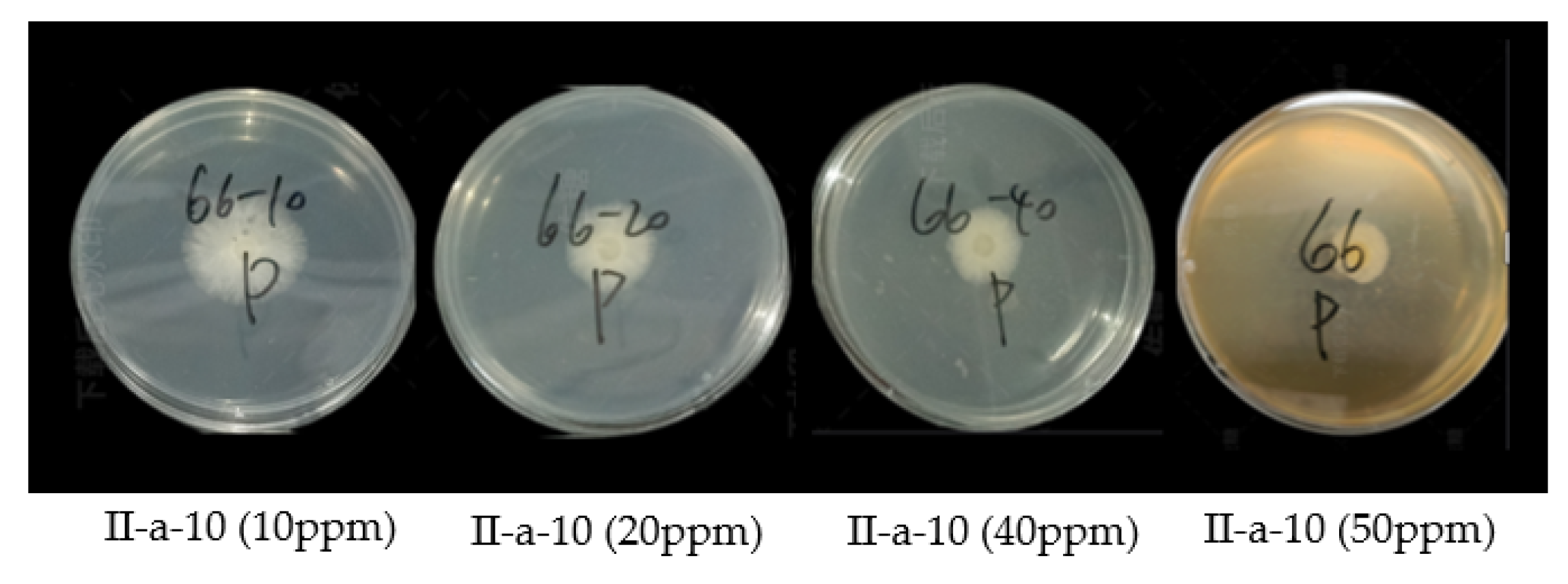 Molecules 28 00561 g007 Molecules 28 00561 g007