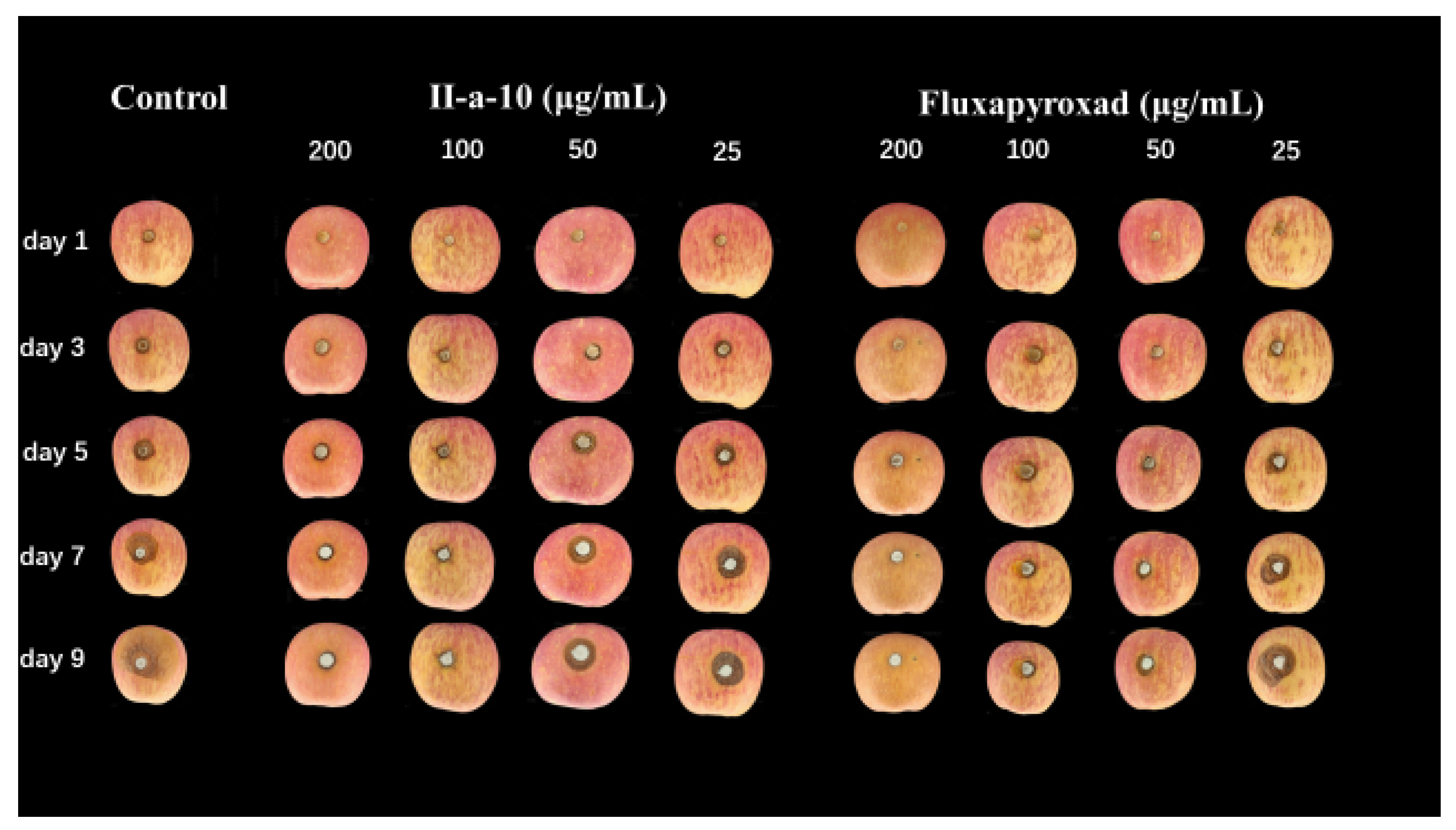 Molecules 28 00561 g009 Molecules 28 00561 g009