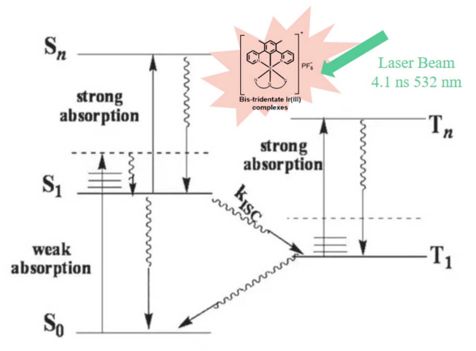 Molecules 28 00566 sch001 Molecules 28 00566 sch001
