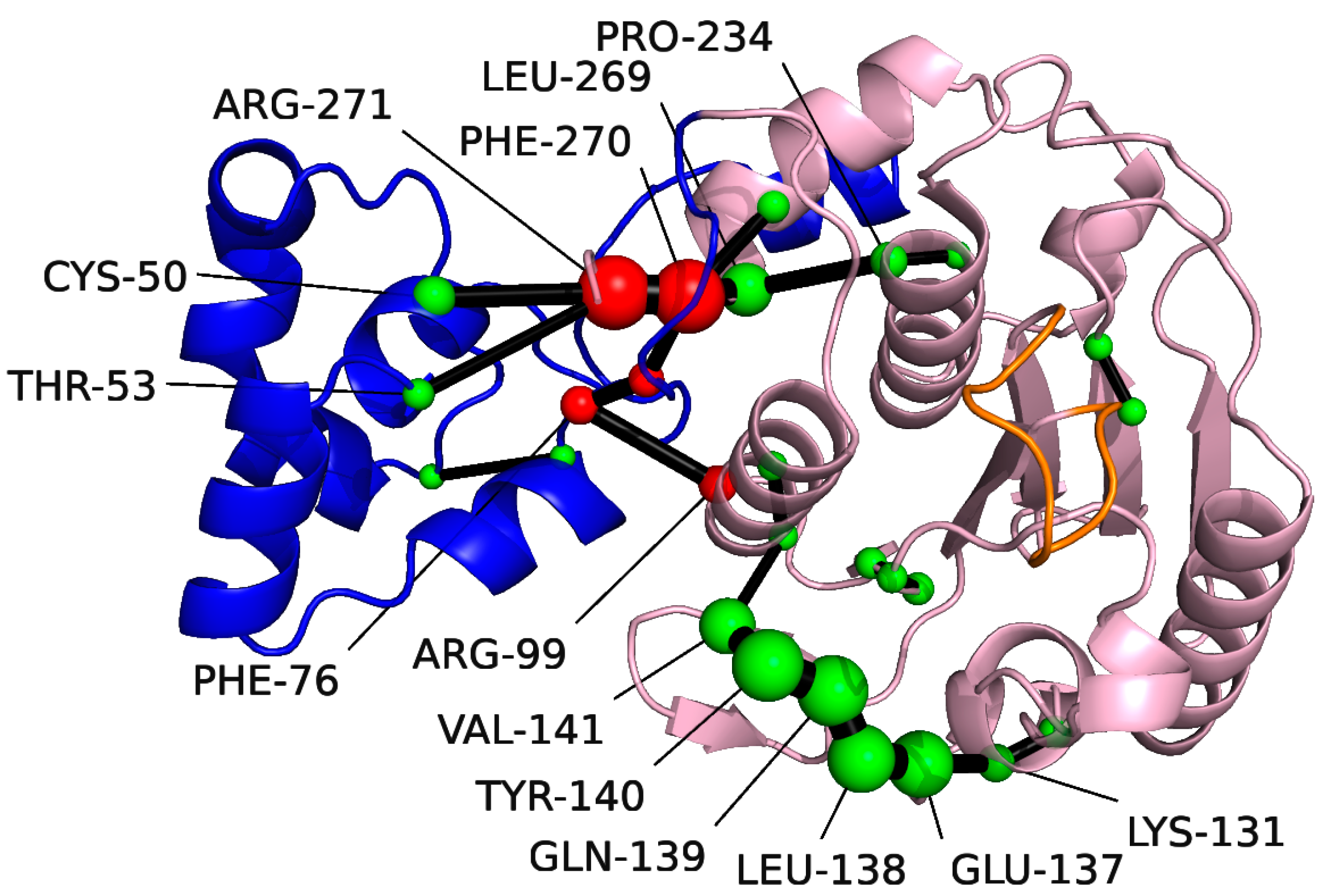 Molecules 28 00570 g004 Molecules 28 00570 g004