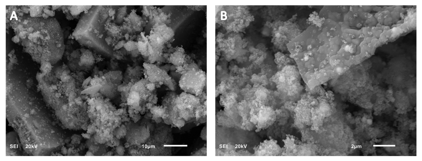 Molecules 28 00572 g001 Molecules 28 00572 g001