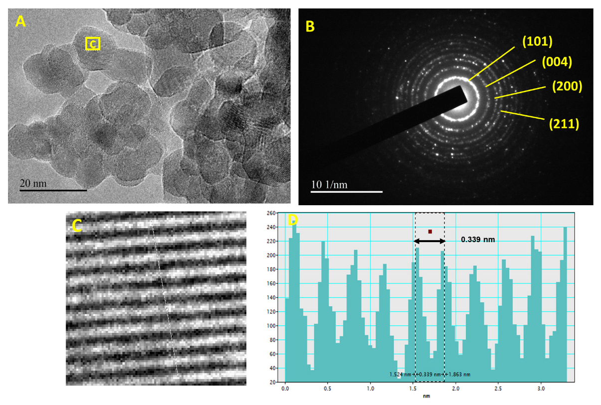 Molecules 28 00572 g002 Molecules 28 00572 g002