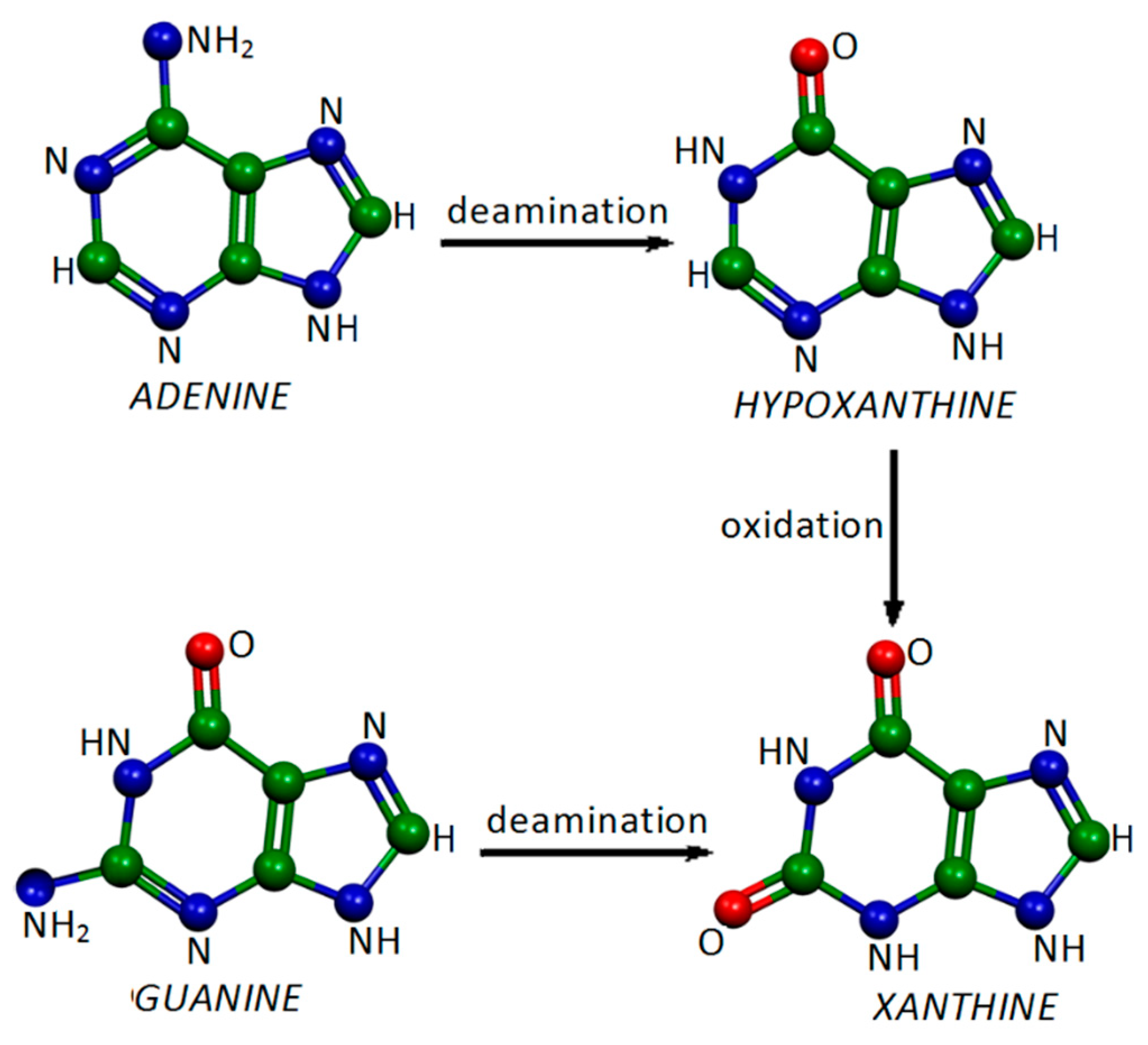 Molecules 28 00573 g001