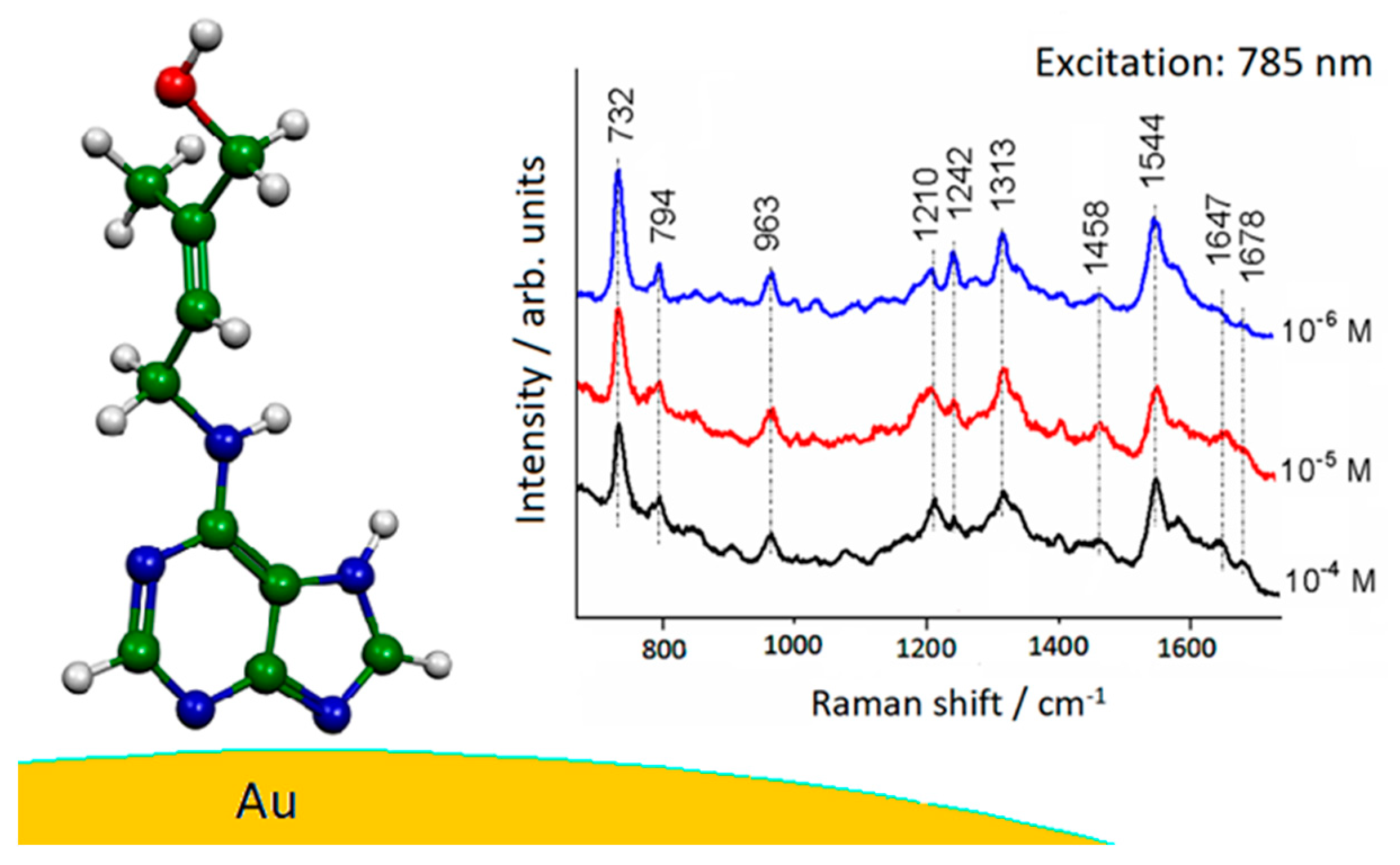Molecules 28 00573 g006