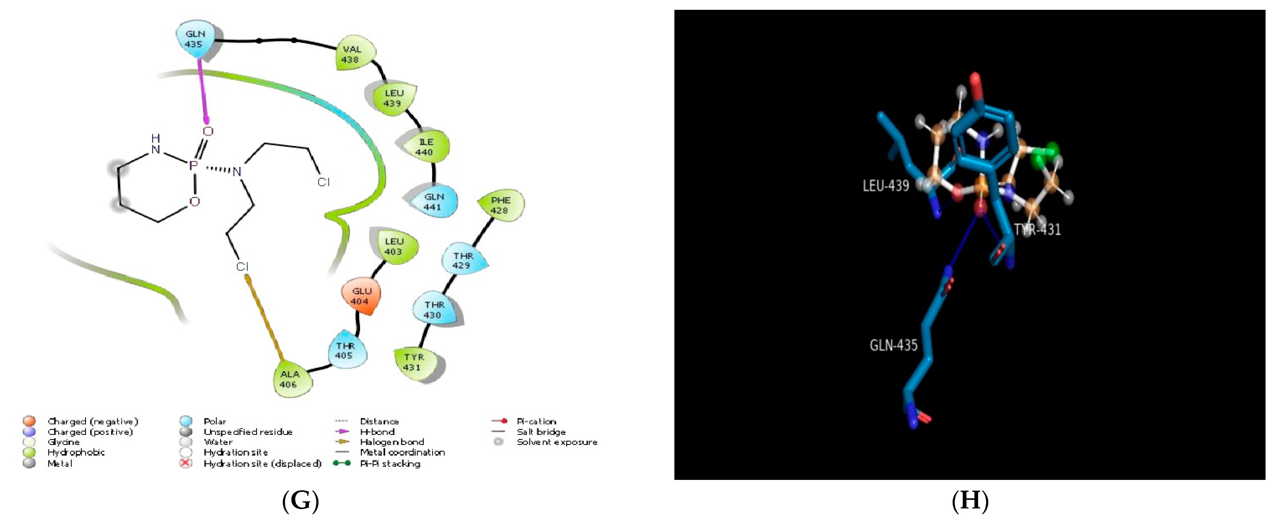 Molecules 28 00574 g001b