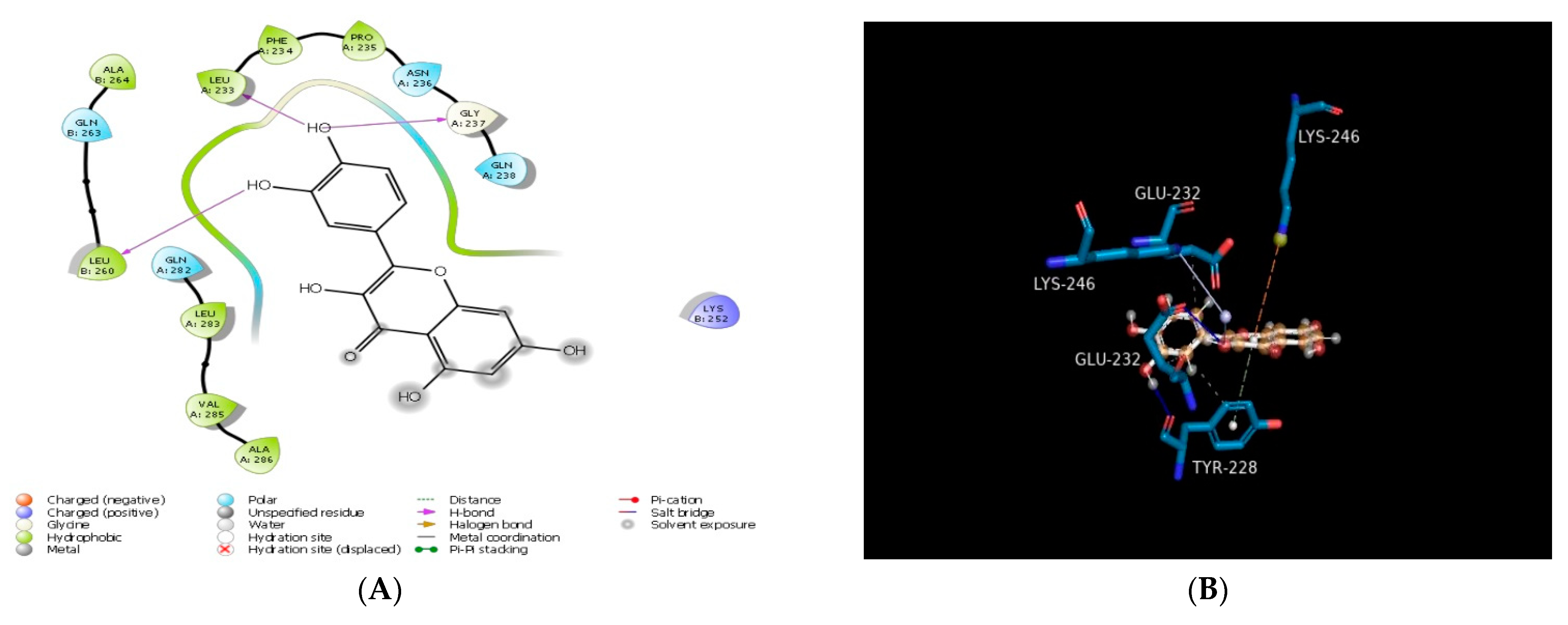 Molecules 28 00574 g002a