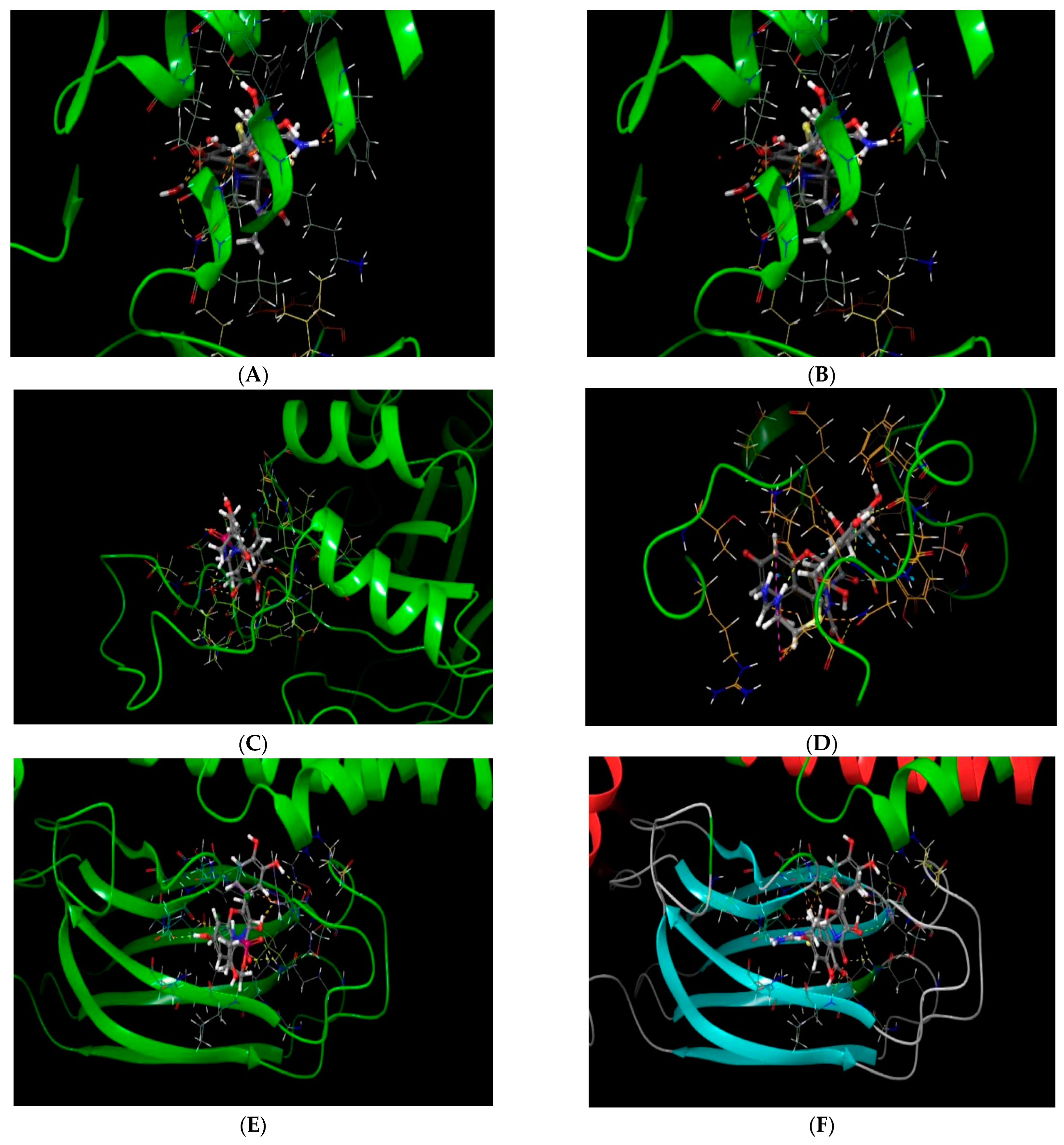 Molecules 28 00574 g004
