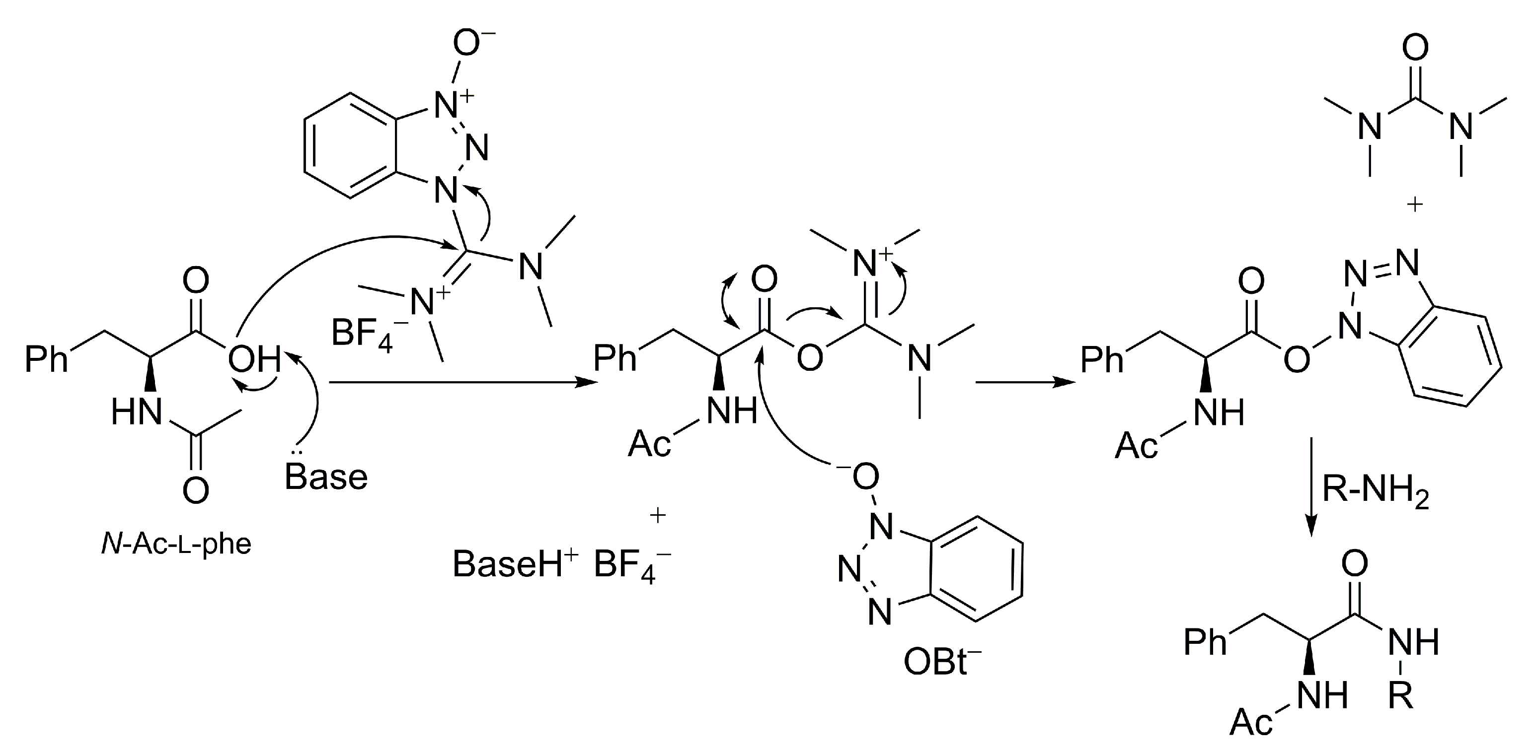 Molecules 28 00581 g002 Molecules 28 00581 g002
