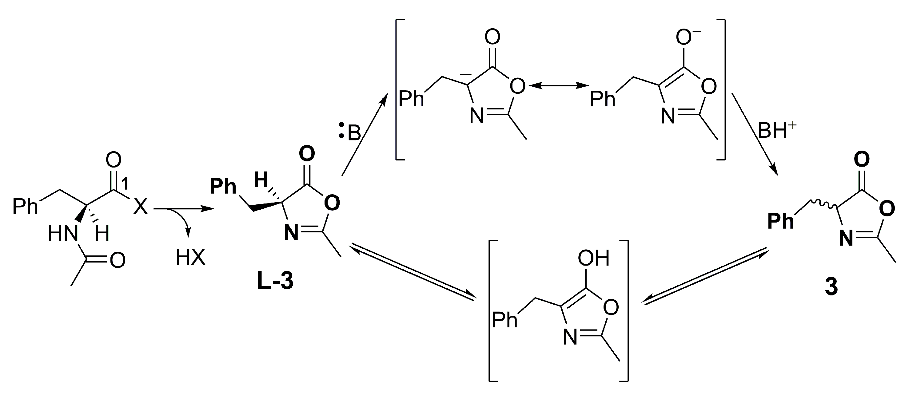 Molecules 28 00581 g004 Molecules 28 00581 g004
