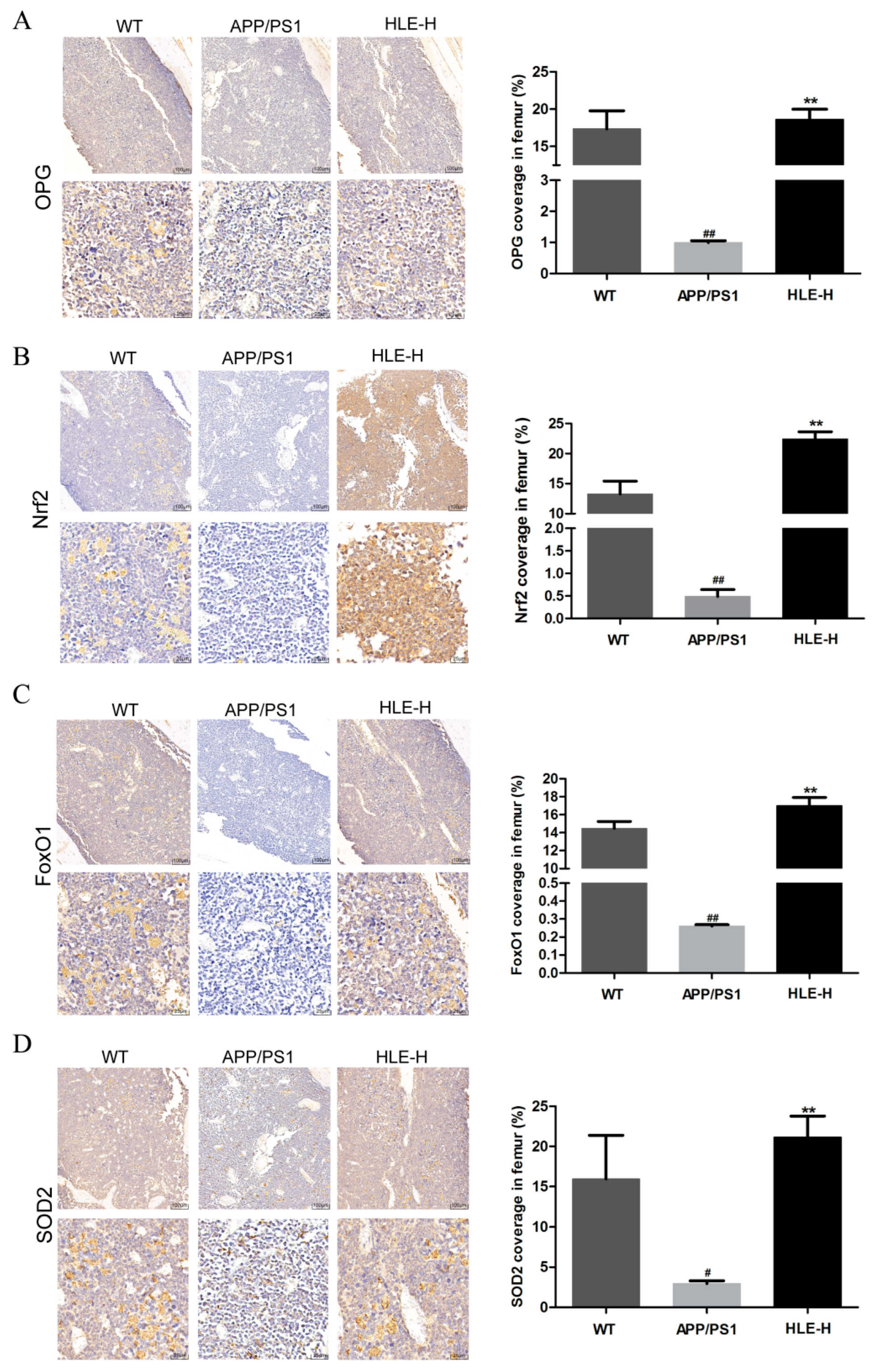 Molecules 28 00583 g005 Molecules 28 00583 g005
