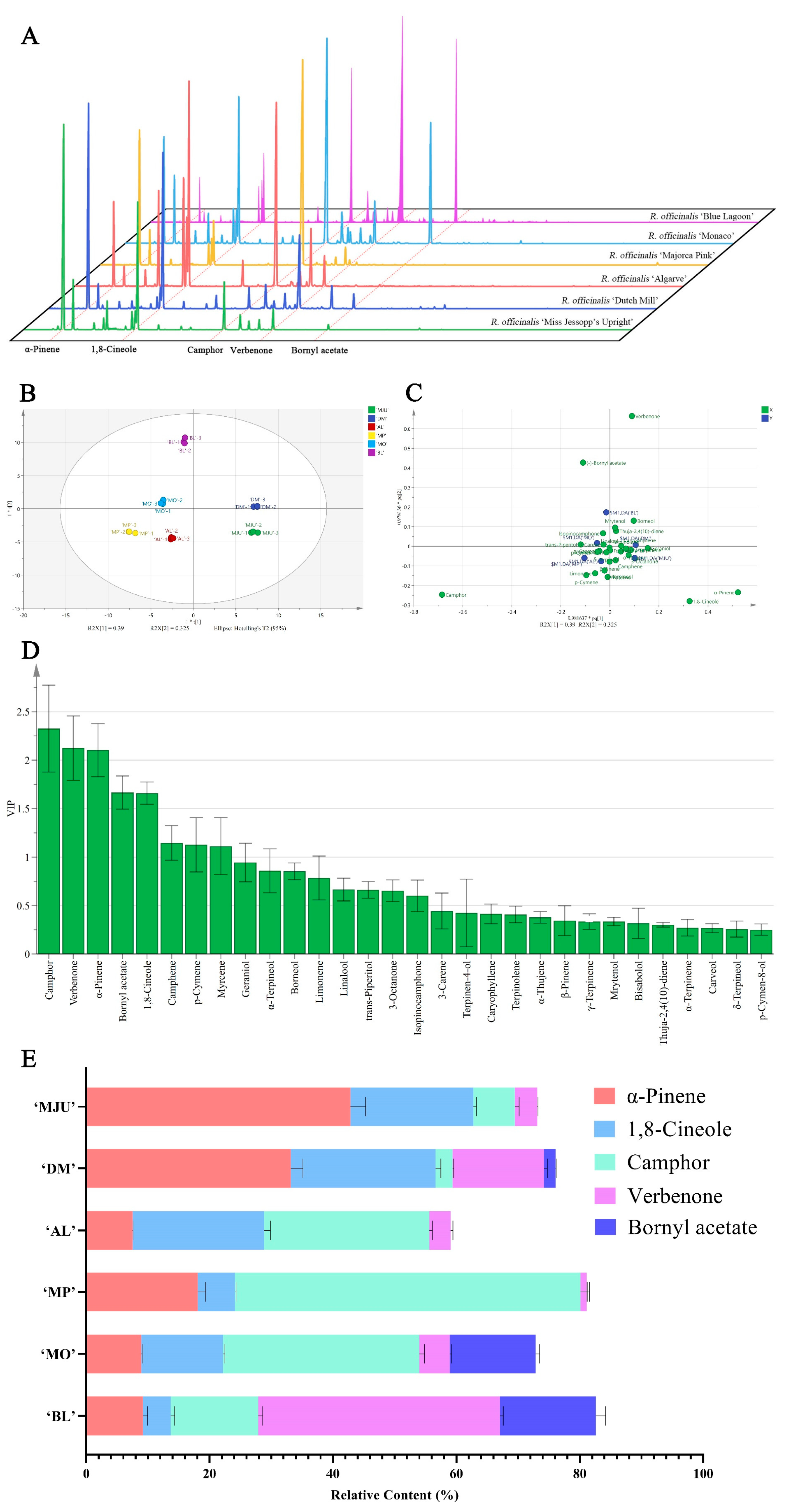 Molecules 28 00586 g001 Molecules 28 00586 g001