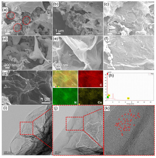 Ultrafine Co-Species Interspersed g-C3N4 Nanosheets and